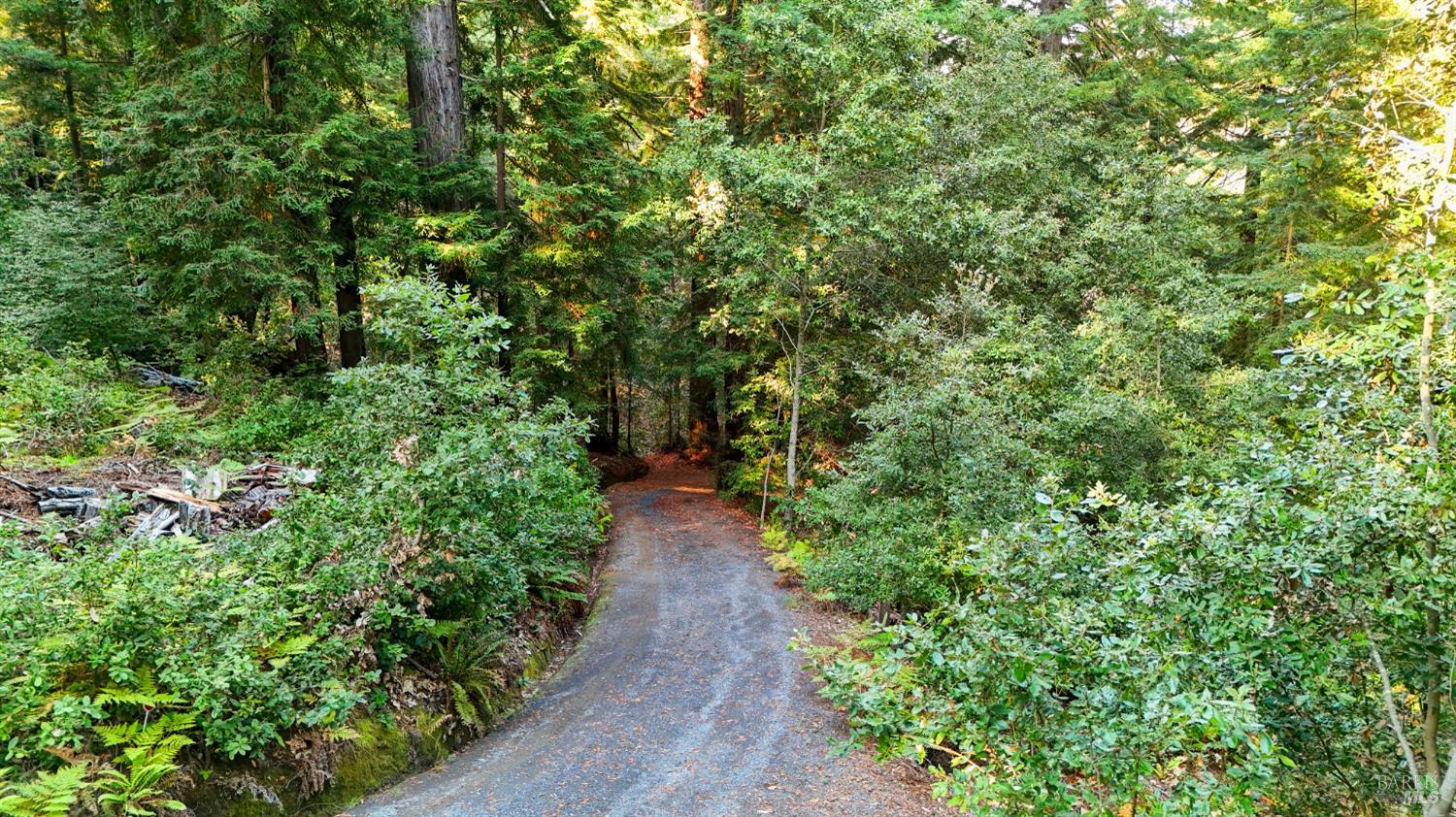 Detail Gallery Image 55 of 90 For 2081 Joy Rd, Occidental,  CA 95465 - 3 Beds | 2/1 Baths