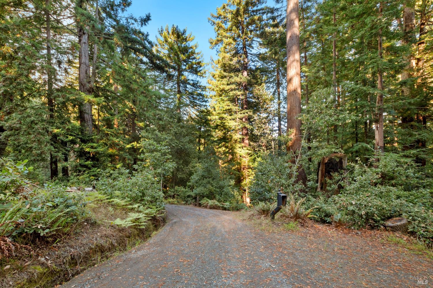 Detail Gallery Image 45 of 90 For 2081 Joy Rd, Occidental,  CA 95465 - 3 Beds | 2/1 Baths