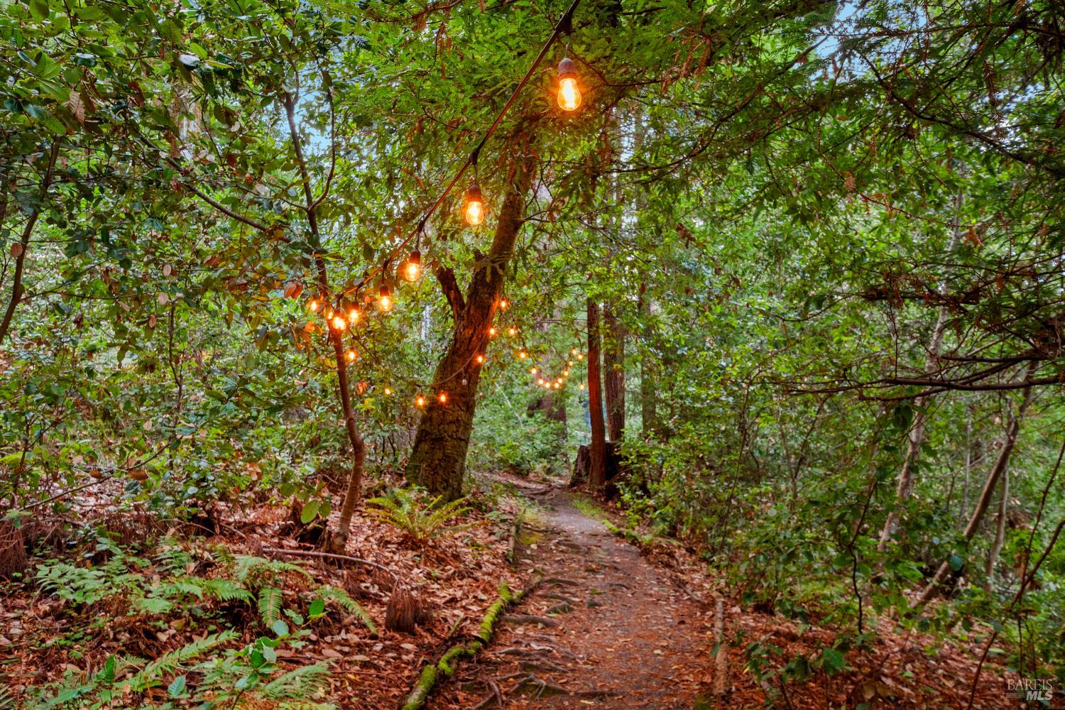 Detail Gallery Image 50 of 90 For 2081 Joy Rd, Occidental,  CA 95465 - 3 Beds | 2/1 Baths