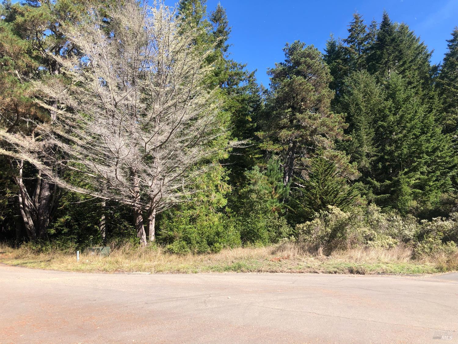 Front Image Thumbnail for BA325096787