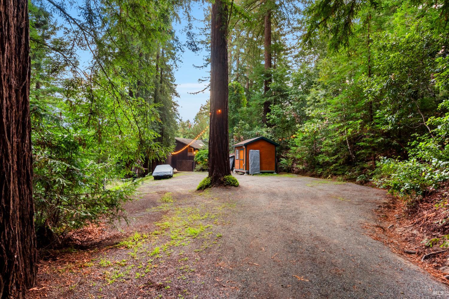 Detail Gallery Image 53 of 90 For 2081 Joy Rd, Occidental,  CA 95465 - 3 Beds | 2/1 Baths