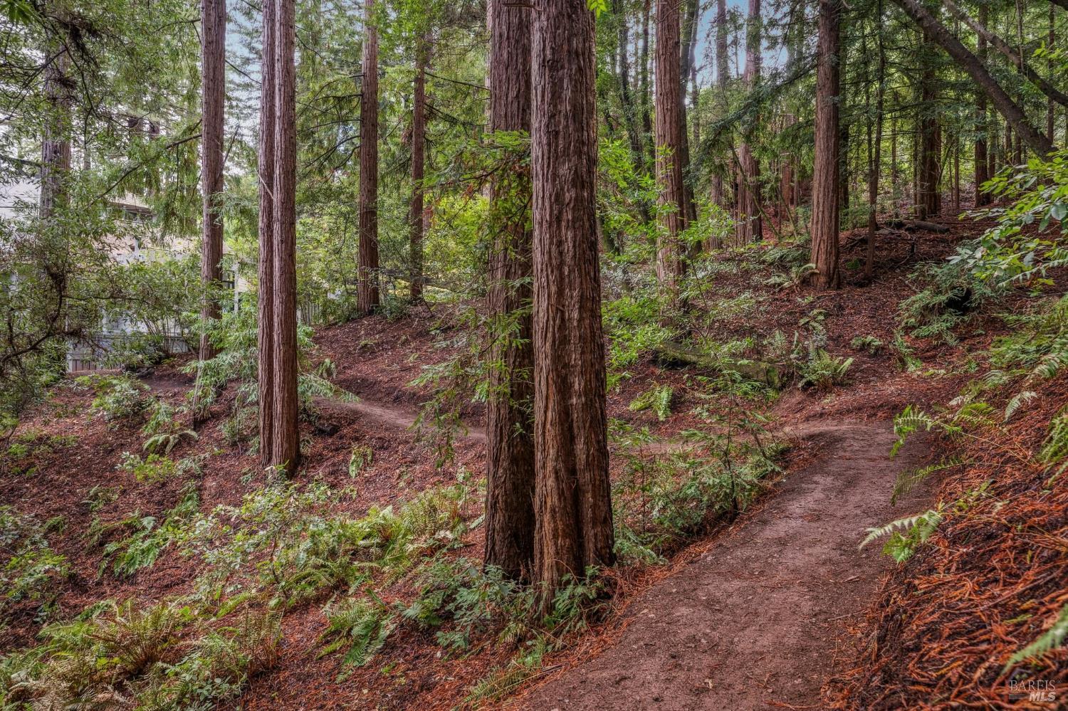 Detail Gallery Image 6 of 84 For 28 Marsh Dr, Mill Valley,  CA 94941 - 6 Beds | 4/1 Baths