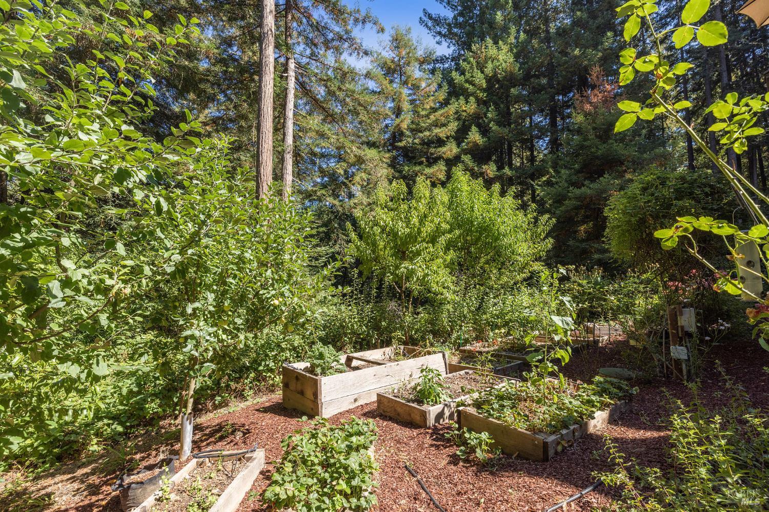 Detail Gallery Image 18 of 77 For 17970 Duncan Rd, Guerneville,  CA 95446 - 2 Beds | 2 Baths