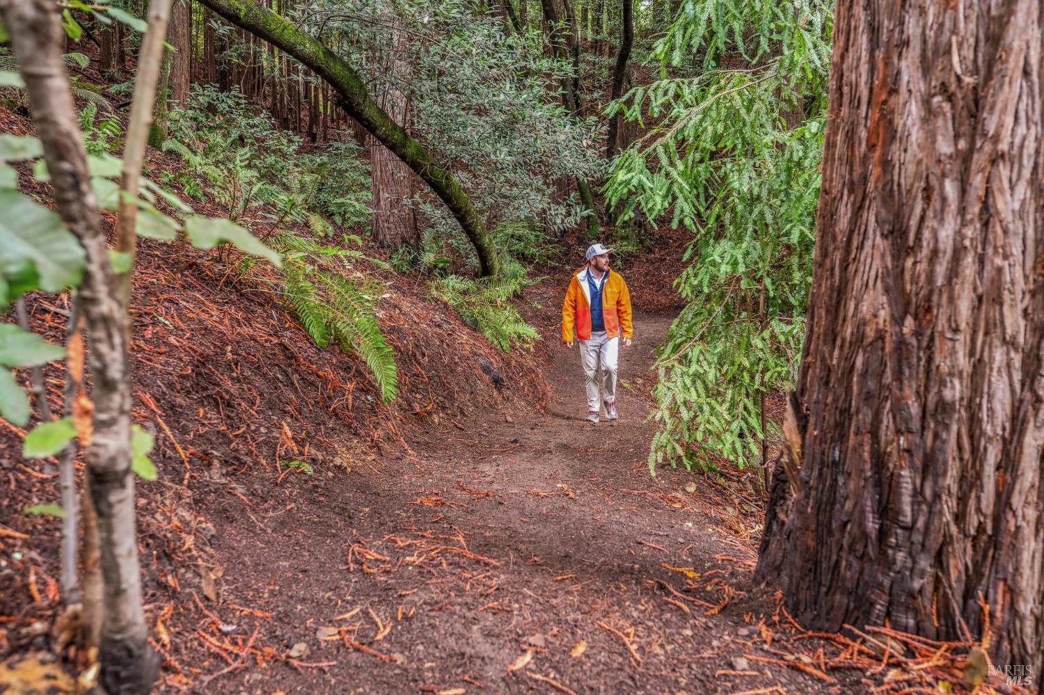 Detail Gallery Image 31 of 84 For 28 Marsh Dr, Mill Valley,  CA 94941 - 6 Beds | 4/1 Baths