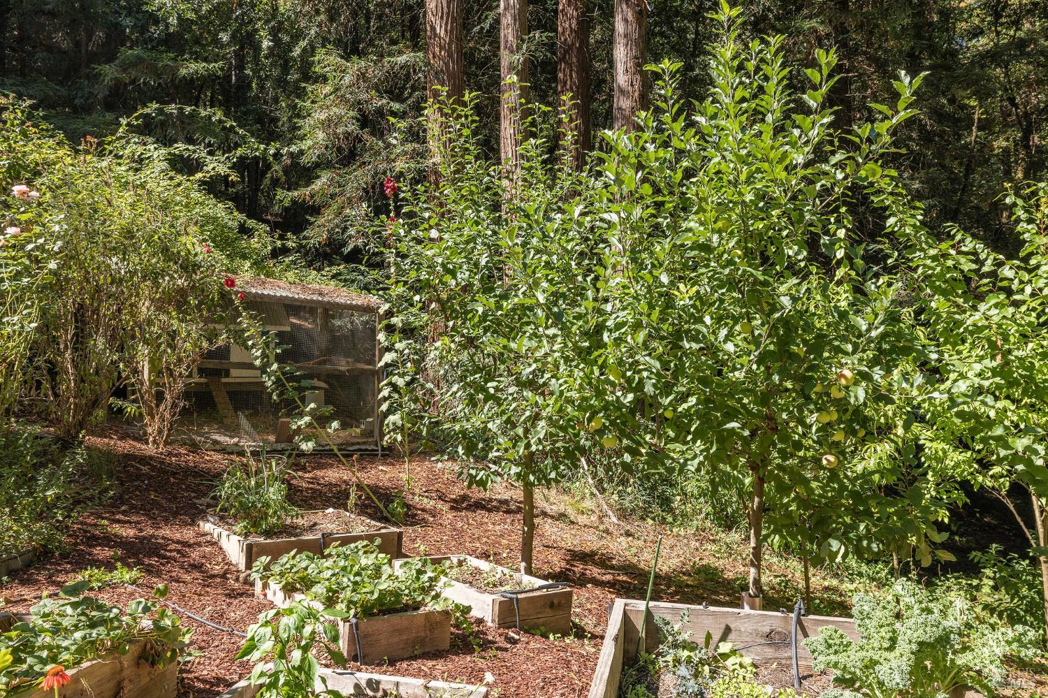 Detail Gallery Image 17 of 77 For 17970 Duncan Rd, Guerneville,  CA 95446 - 2 Beds | 2 Baths