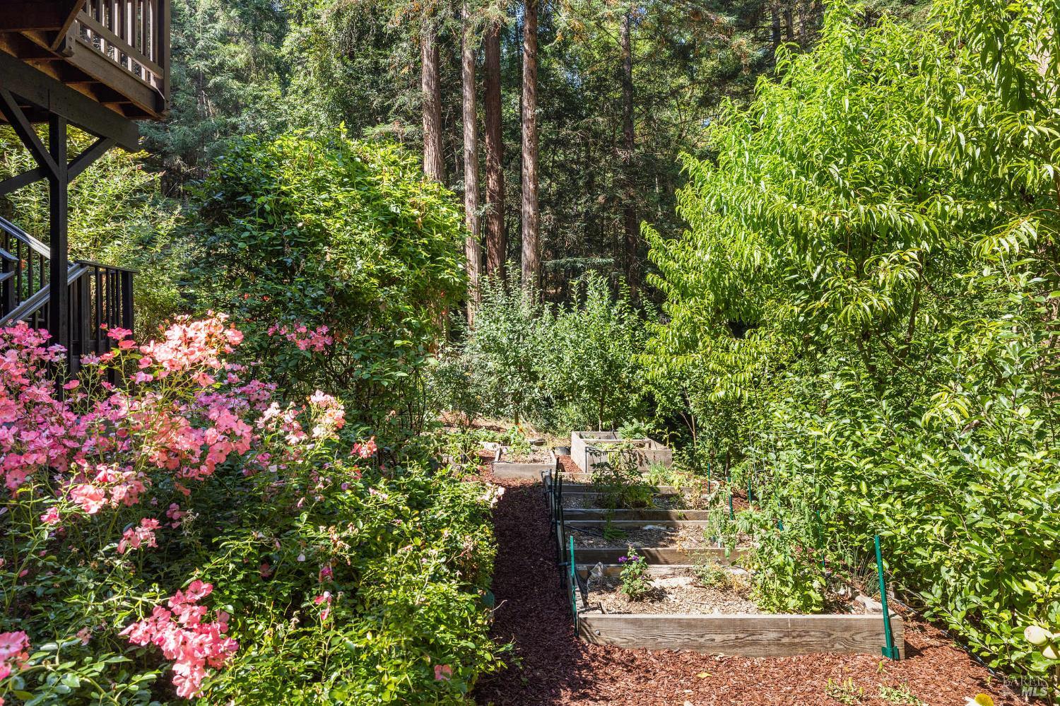 Detail Gallery Image 44 of 77 For 17970 Duncan Rd, Guerneville,  CA 95446 - 2 Beds | 2 Baths