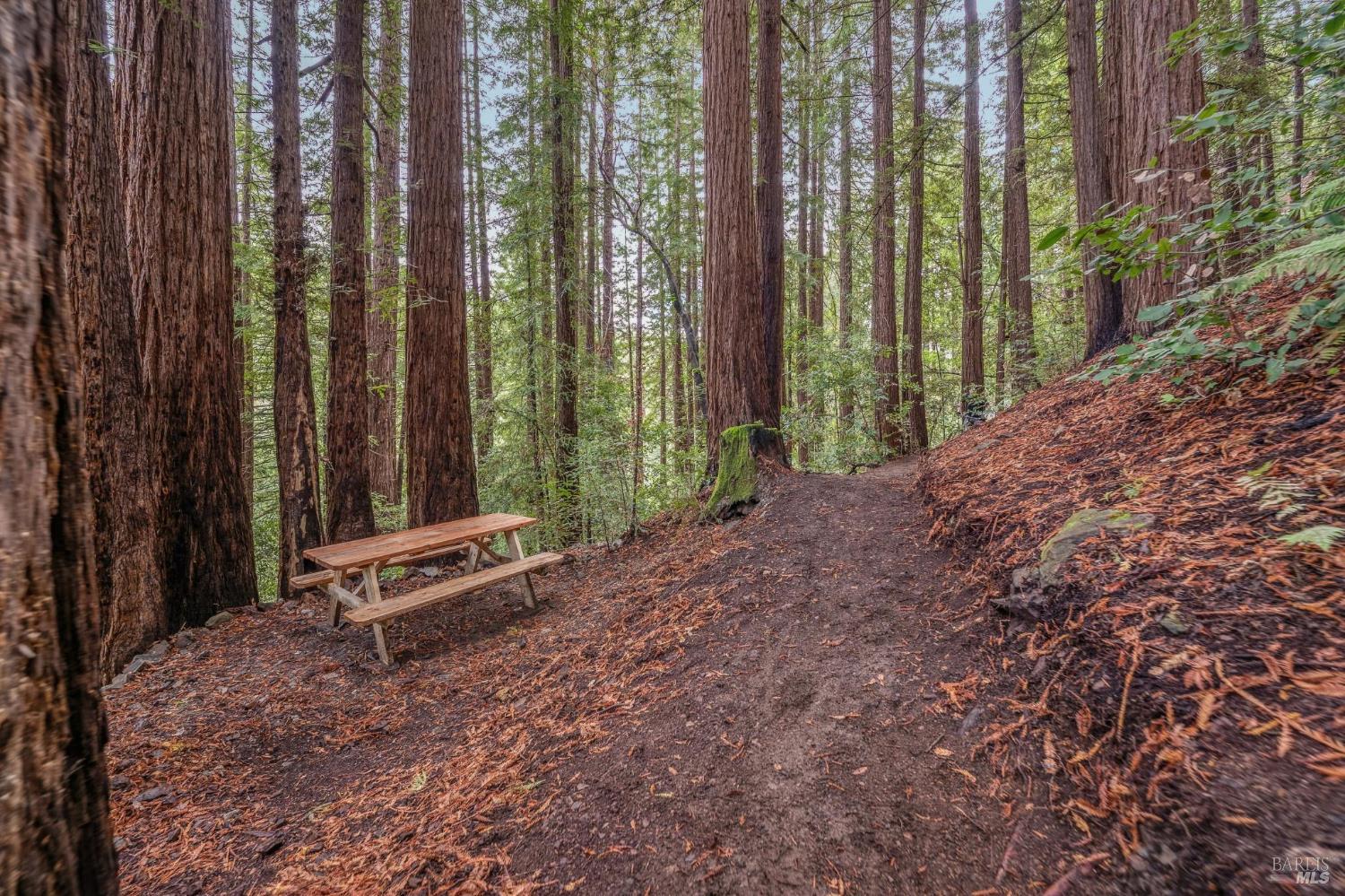 Detail Gallery Image 32 of 84 For 28 Marsh Dr, Mill Valley,  CA 94941 - 6 Beds | 4/1 Baths