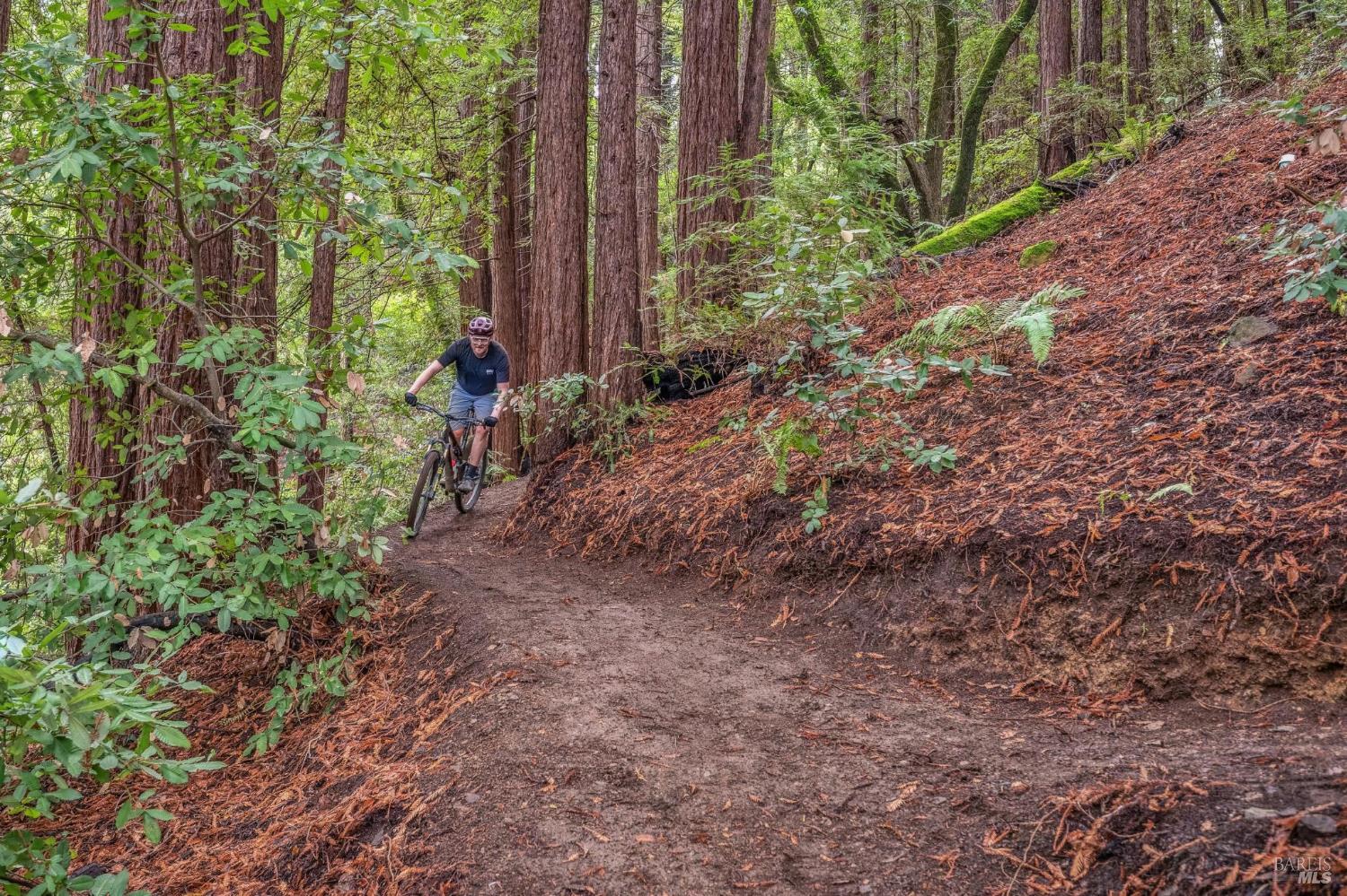 Detail Gallery Image 33 of 84 For 28 Marsh Dr, Mill Valley,  CA 94941 - 6 Beds | 4/1 Baths