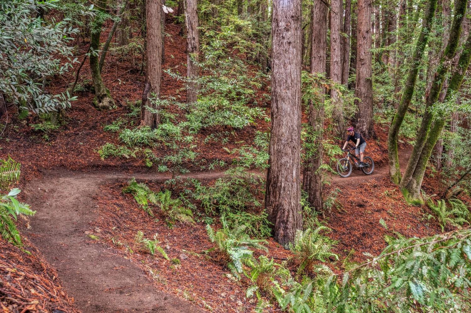 Detail Gallery Image 5 of 84 For 28 Marsh Dr, Mill Valley,  CA 94941 - 6 Beds | 4/1 Baths