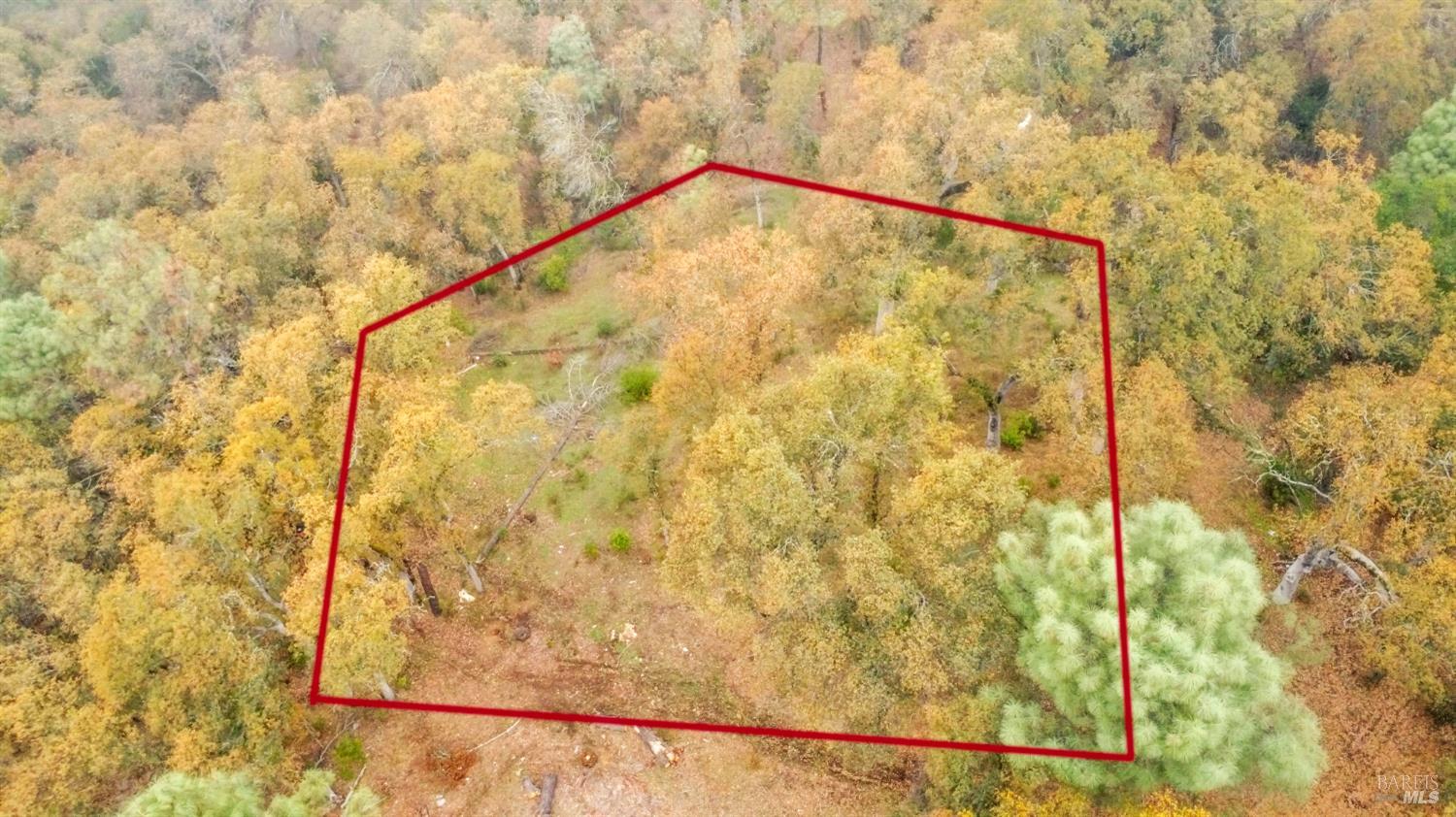 Detail Gallery Image 5 of 33 For 15386 Palm Ave, Clearlake,  CA 95422 - – Beds | – Baths