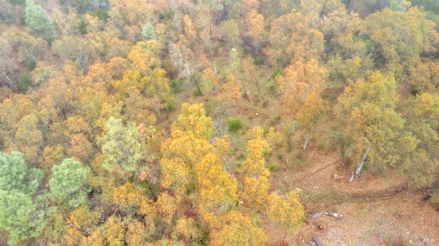 Detail Gallery Image 2 of 33 For 15386 Palm Ave, Clearlake,  CA 95422 - – Beds | – Baths