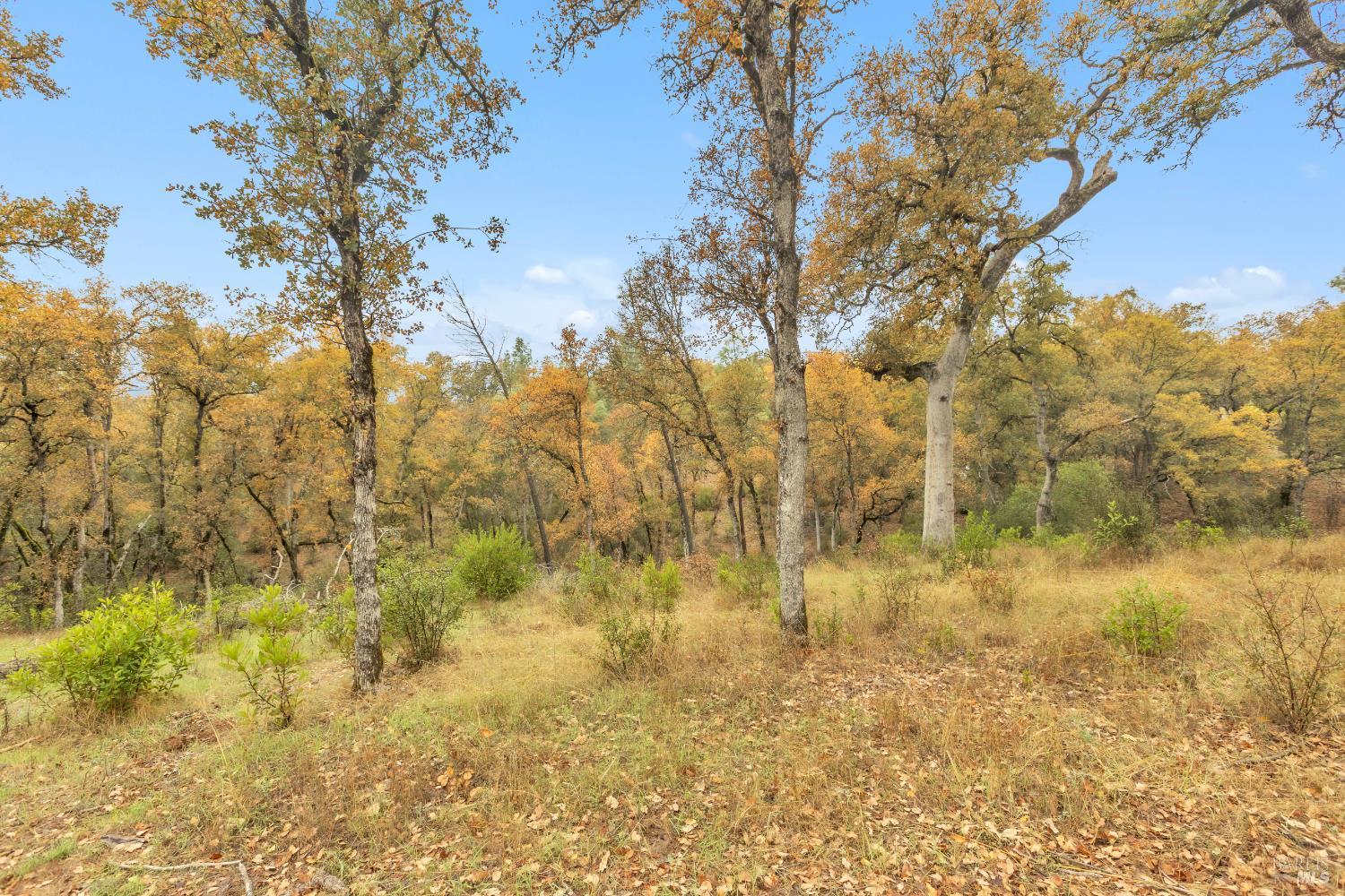 Detail Gallery Image 30 of 33 For 15386 Palm Ave, Clearlake,  CA 95422 - – Beds | – Baths