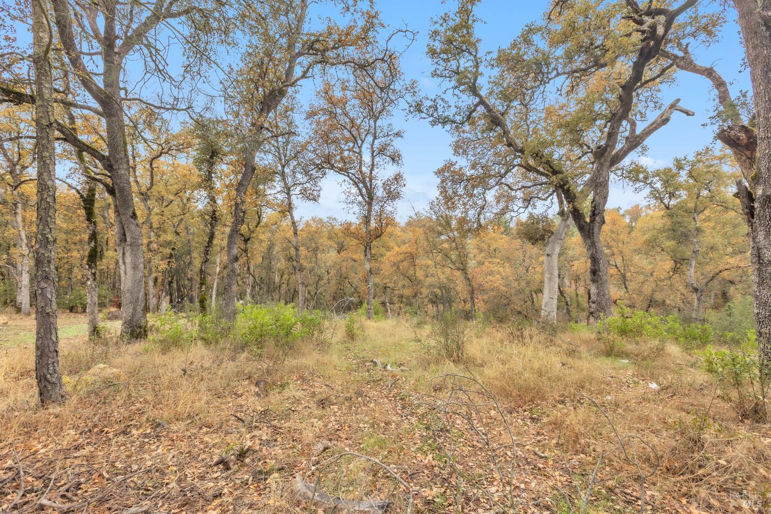 Detail Gallery Image 29 of 33 For 15386 Palm Ave, Clearlake,  CA 95422 - – Beds | – Baths