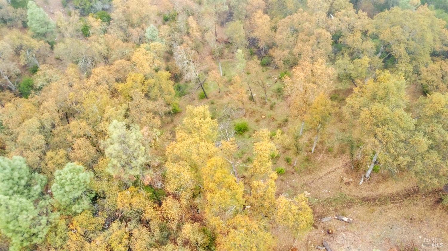 Detail Gallery Image 4 of 33 For 15386 Palm Ave, Clearlake,  CA 95422 - – Beds | – Baths