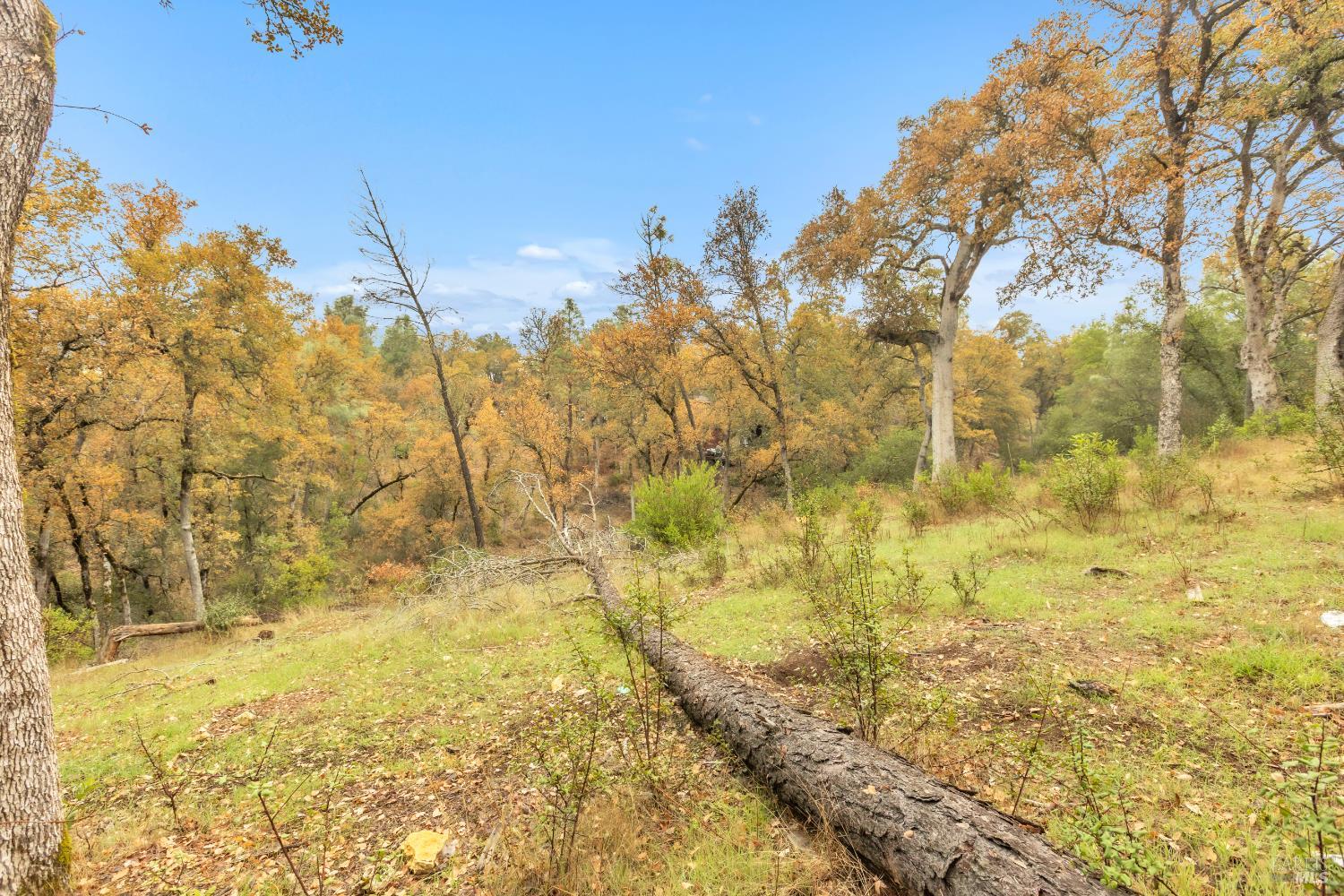 Detail Gallery Image 31 of 33 For 15386 Palm Ave, Clearlake,  CA 95422 - – Beds | – Baths