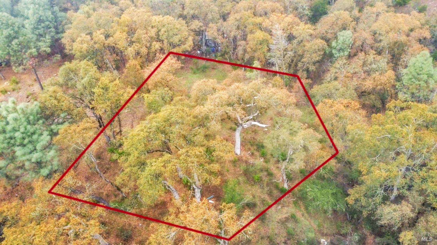 Detail Gallery Image 9 of 33 For 15386 Palm Ave, Clearlake,  CA 95422 - – Beds | – Baths