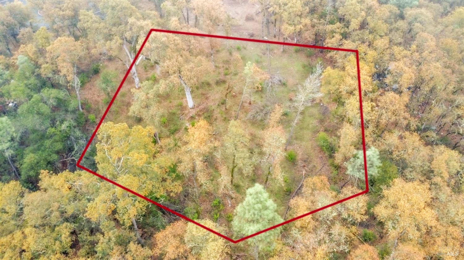 Detail Gallery Image 13 of 33 For 15386 Palm Ave, Clearlake,  CA 95422 - – Beds | – Baths