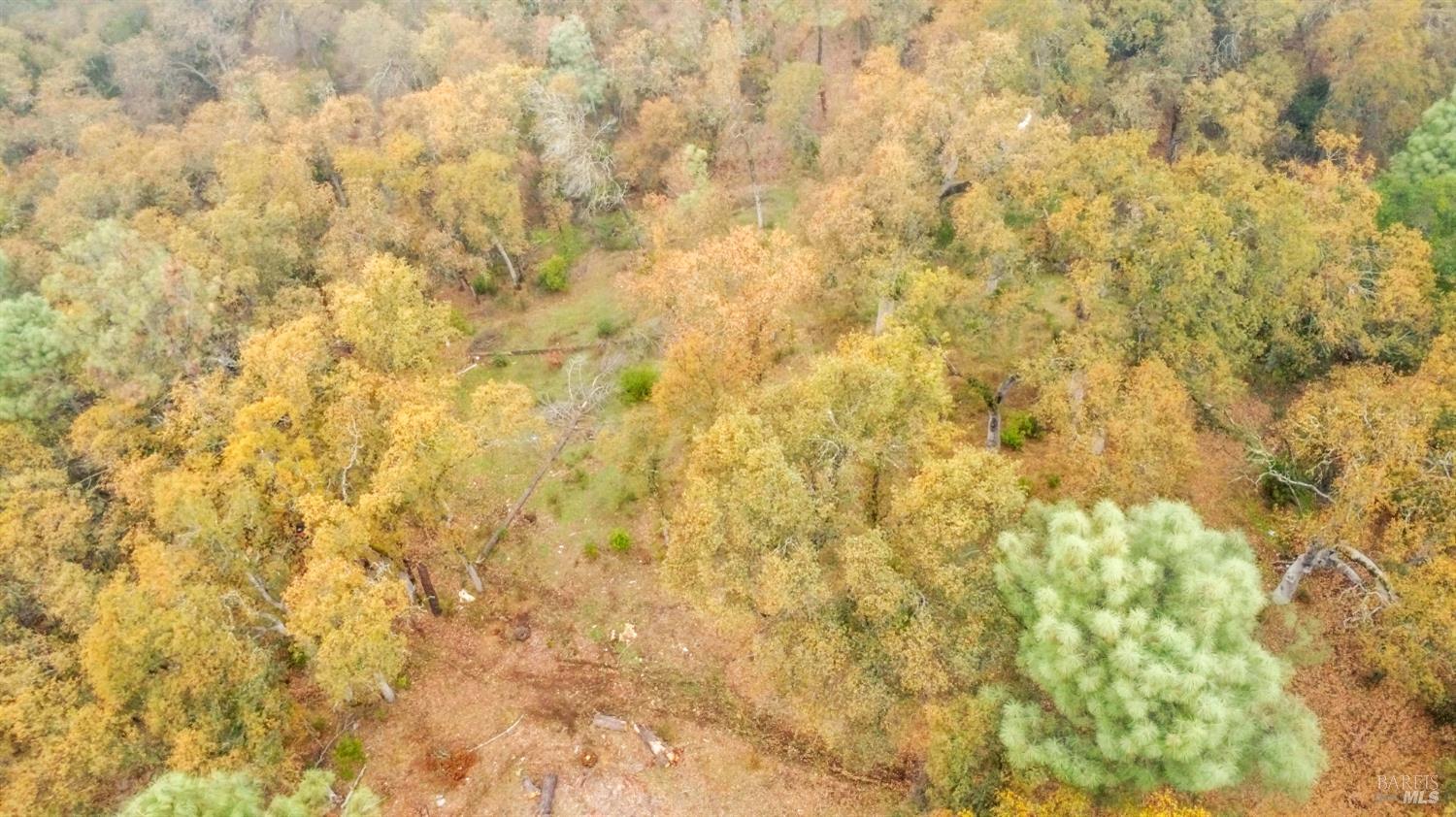 Detail Gallery Image 6 of 33 For 15386 Palm Ave, Clearlake,  CA 95422 - – Beds | – Baths