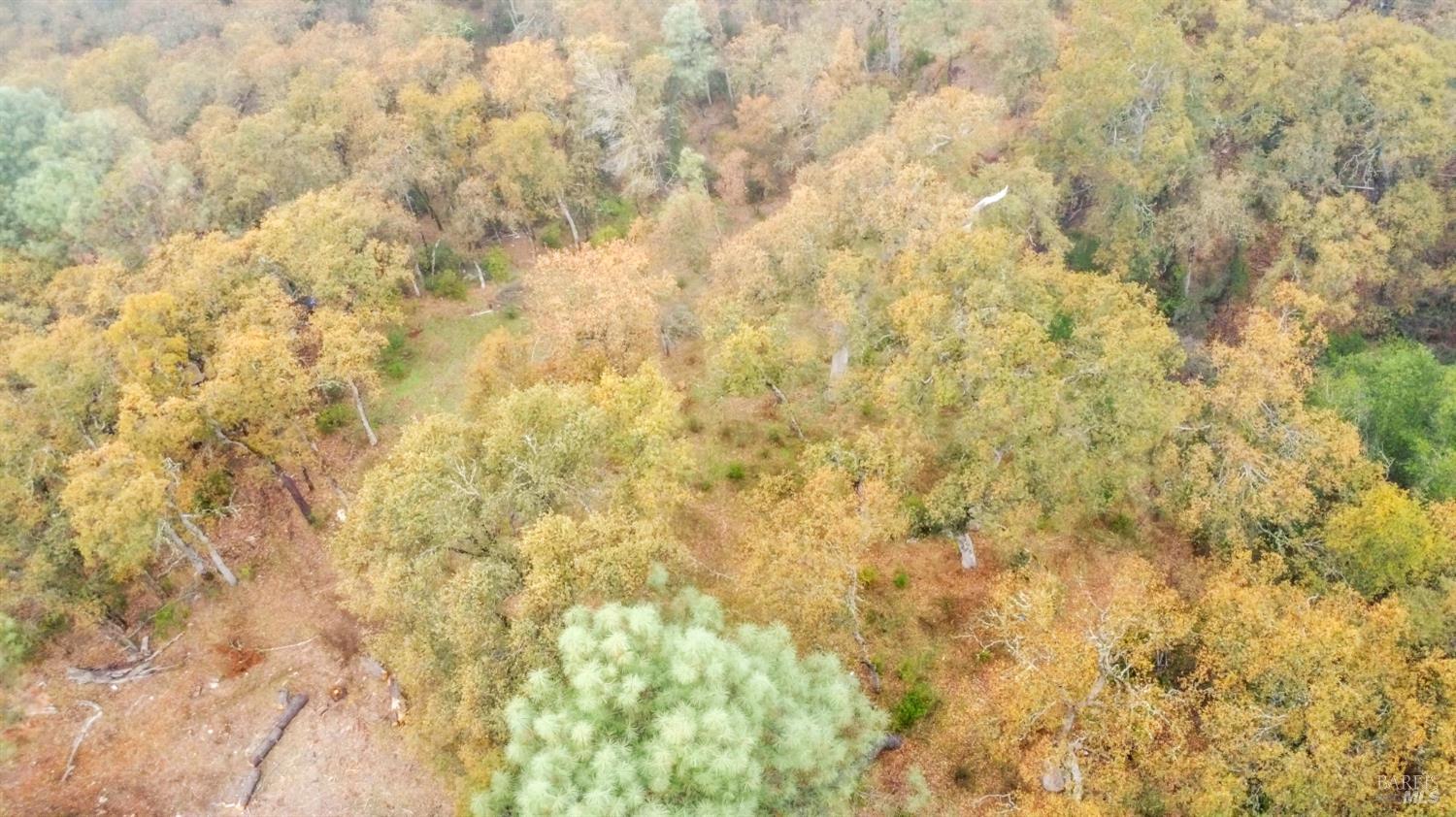 Detail Gallery Image 8 of 33 For 15386 Palm Ave, Clearlake,  CA 95422 - – Beds | – Baths