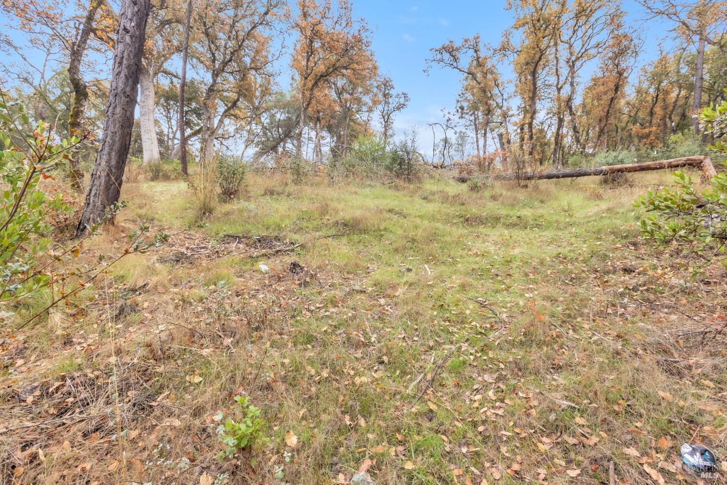 Detail Gallery Image 32 of 33 For 15386 Palm Ave, Clearlake,  CA 95422 - – Beds | – Baths