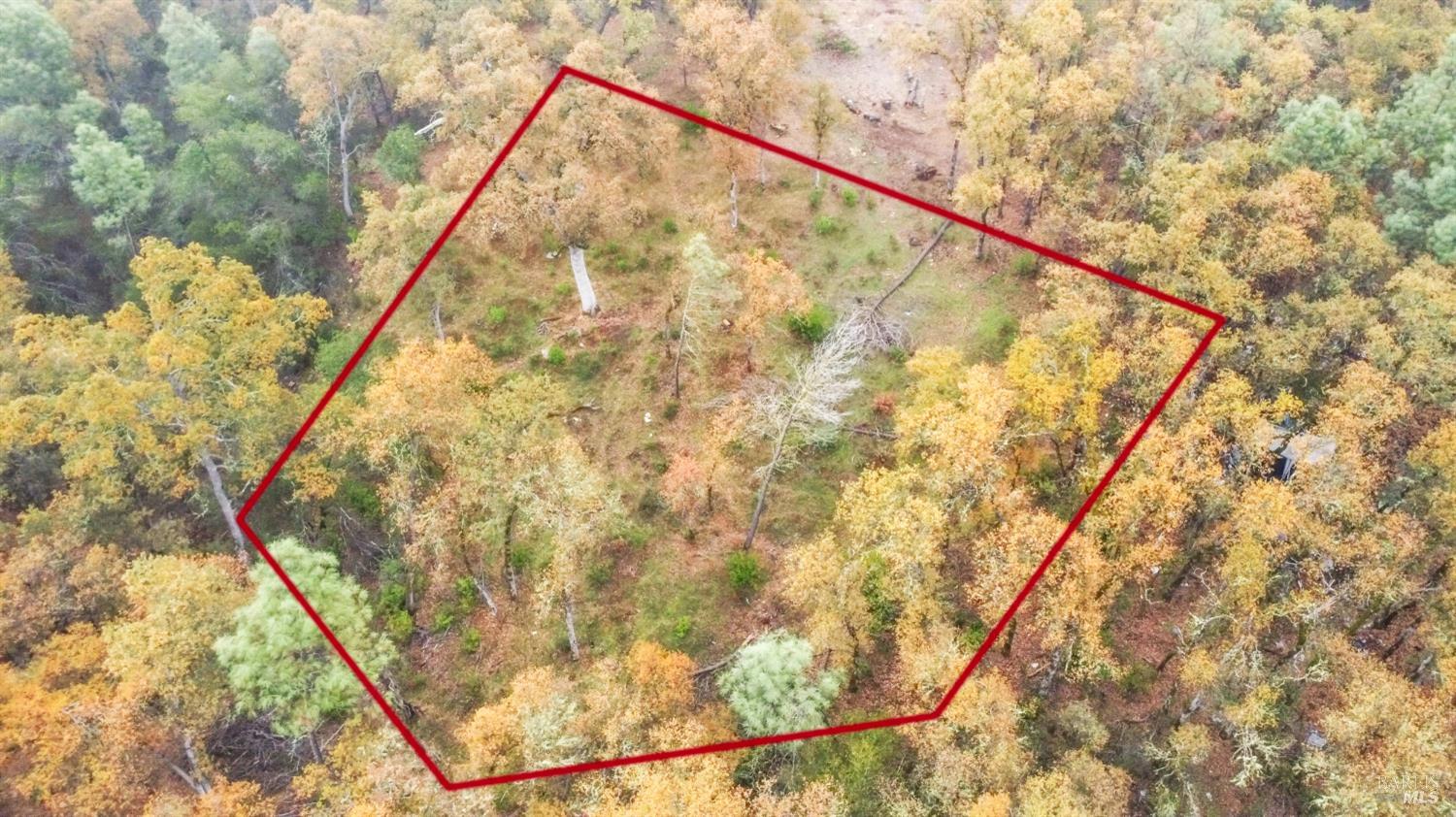 Detail Gallery Image 15 of 33 For 15386 Palm Ave, Clearlake,  CA 95422 - – Beds | – Baths