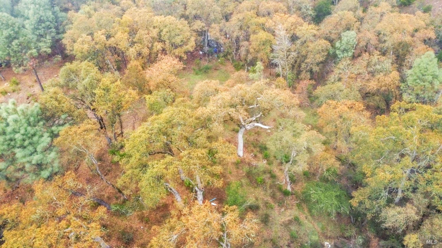 Detail Gallery Image 10 of 33 For 15386 Palm Ave, Clearlake,  CA 95422 - – Beds | – Baths