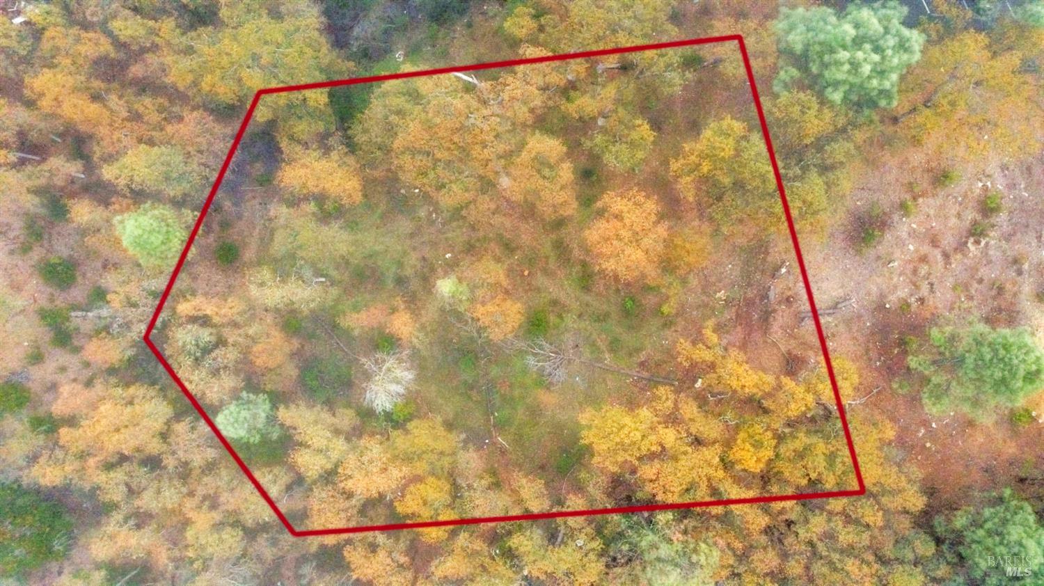 Detail Gallery Image 19 of 33 For 15386 Palm Ave, Clearlake,  CA 95422 - – Beds | – Baths