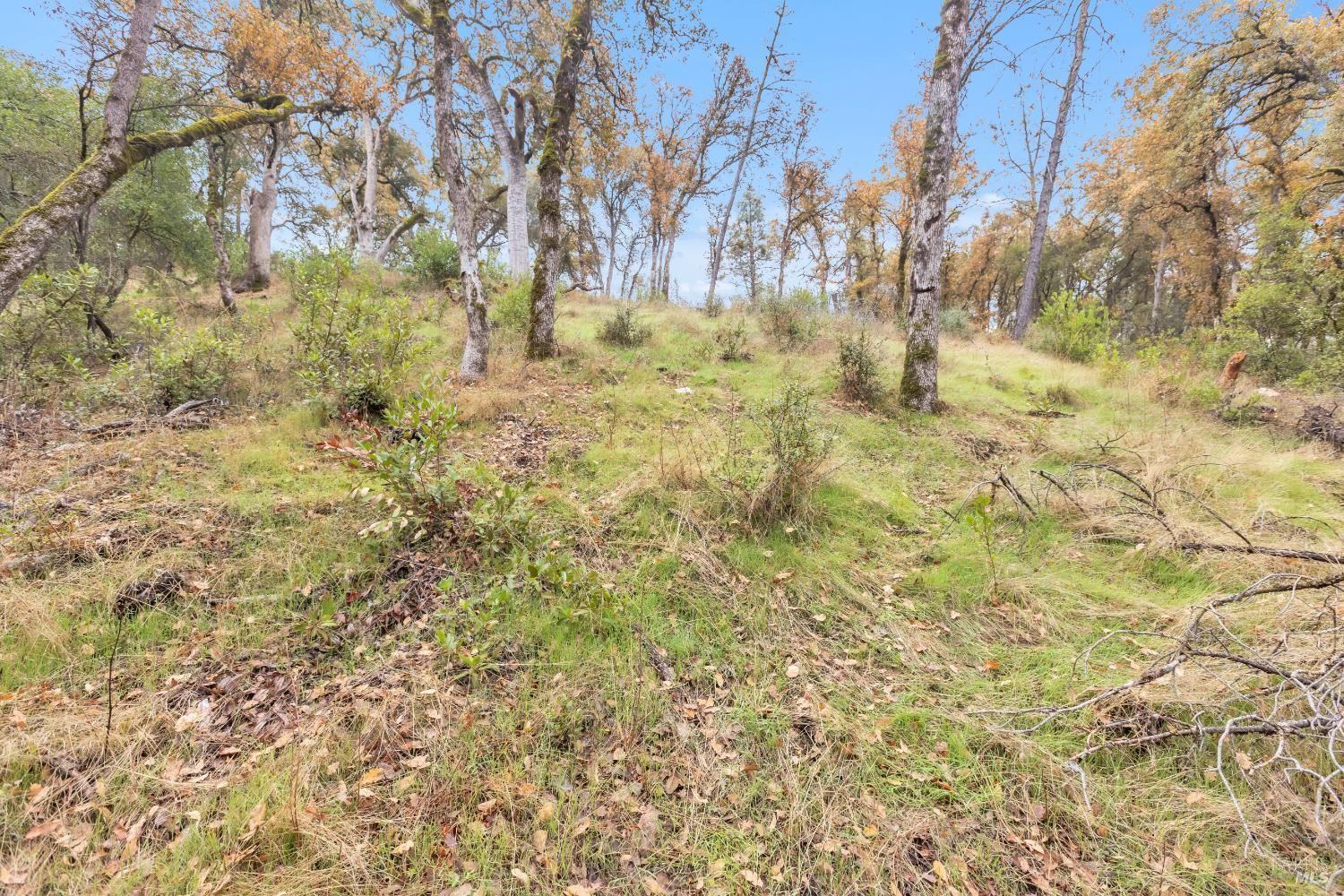 Detail Gallery Image 33 of 33 For 15386 Palm Ave, Clearlake,  CA 95422 - – Beds | – Baths