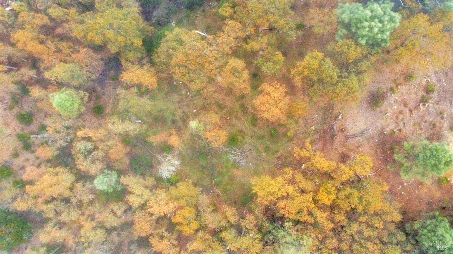 Detail Gallery Image 20 of 33 For 15386 Palm Ave, Clearlake,  CA 95422 - – Beds | – Baths