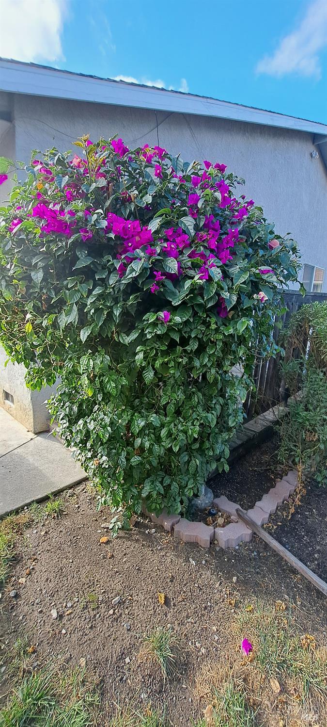 Detail Gallery Image 25 of 27 For 355 Spindrift Way, Vacaville,  CA 95687 - 3 Beds | 2 Baths