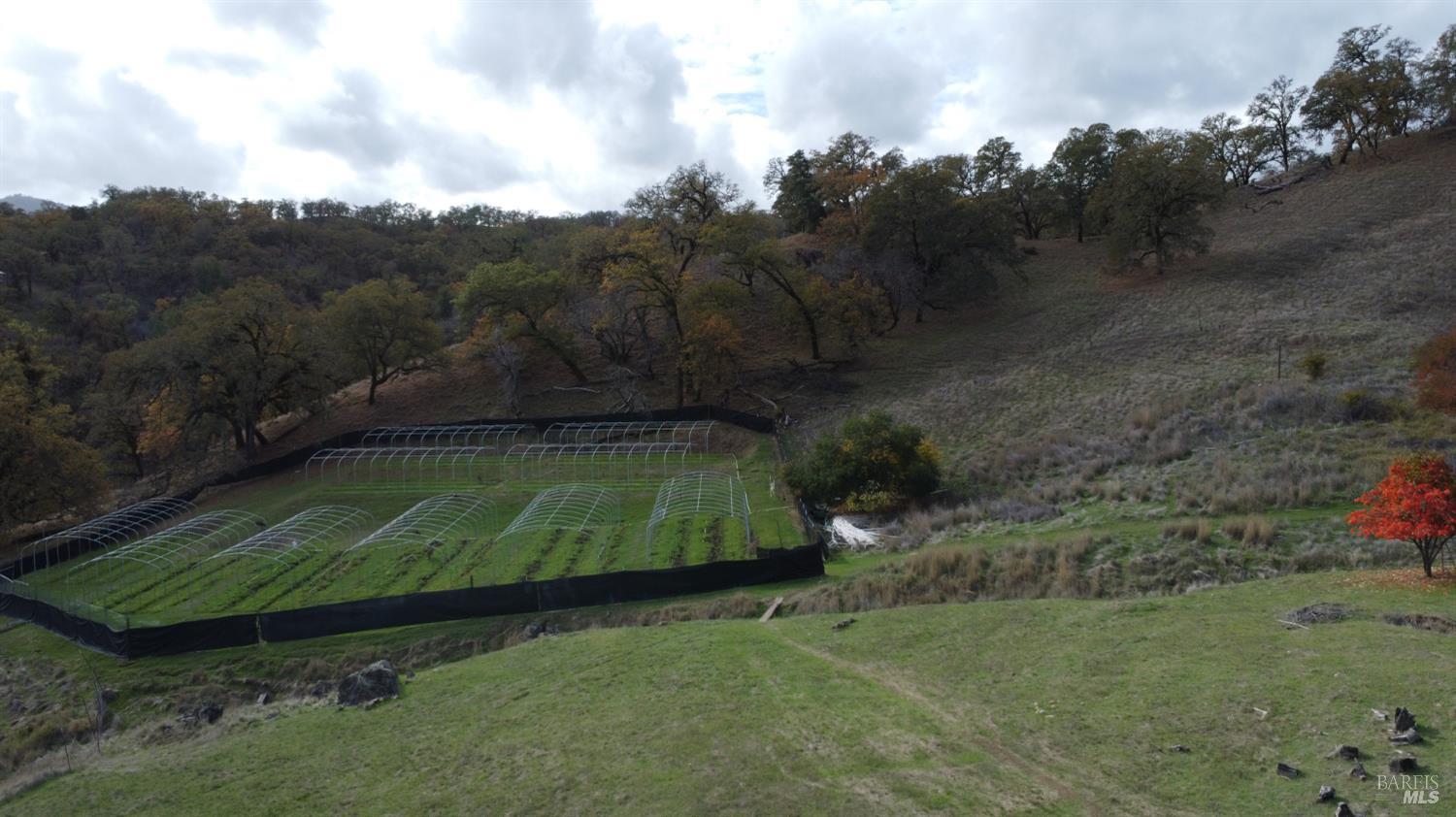 Detail Gallery Image 18 of 36 For 4411 Moose Rd, Ukiah,  CA 95482 - 2 Beds | 0/1 Baths