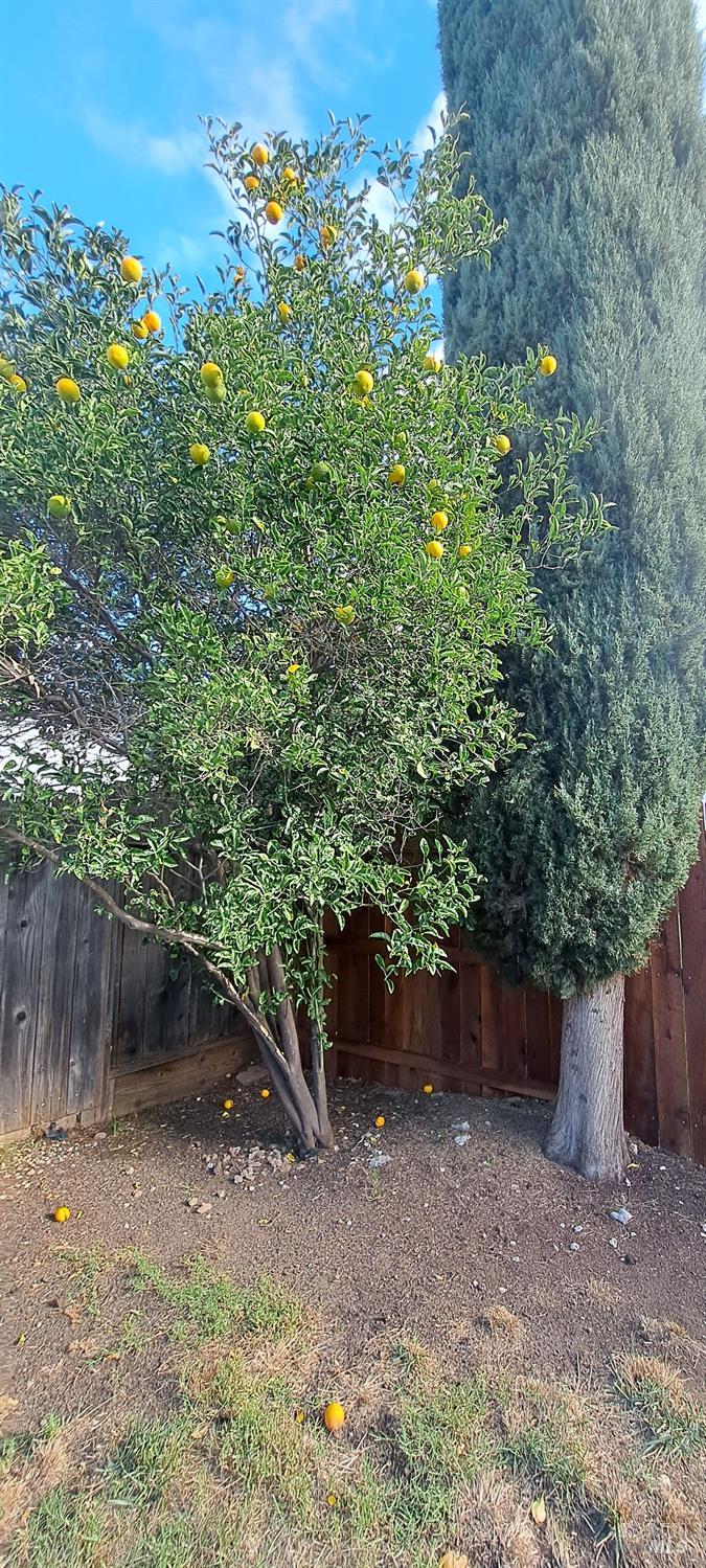 Detail Gallery Image 26 of 27 For 355 Spindrift Way, Vacaville,  CA 95687 - 3 Beds | 2 Baths