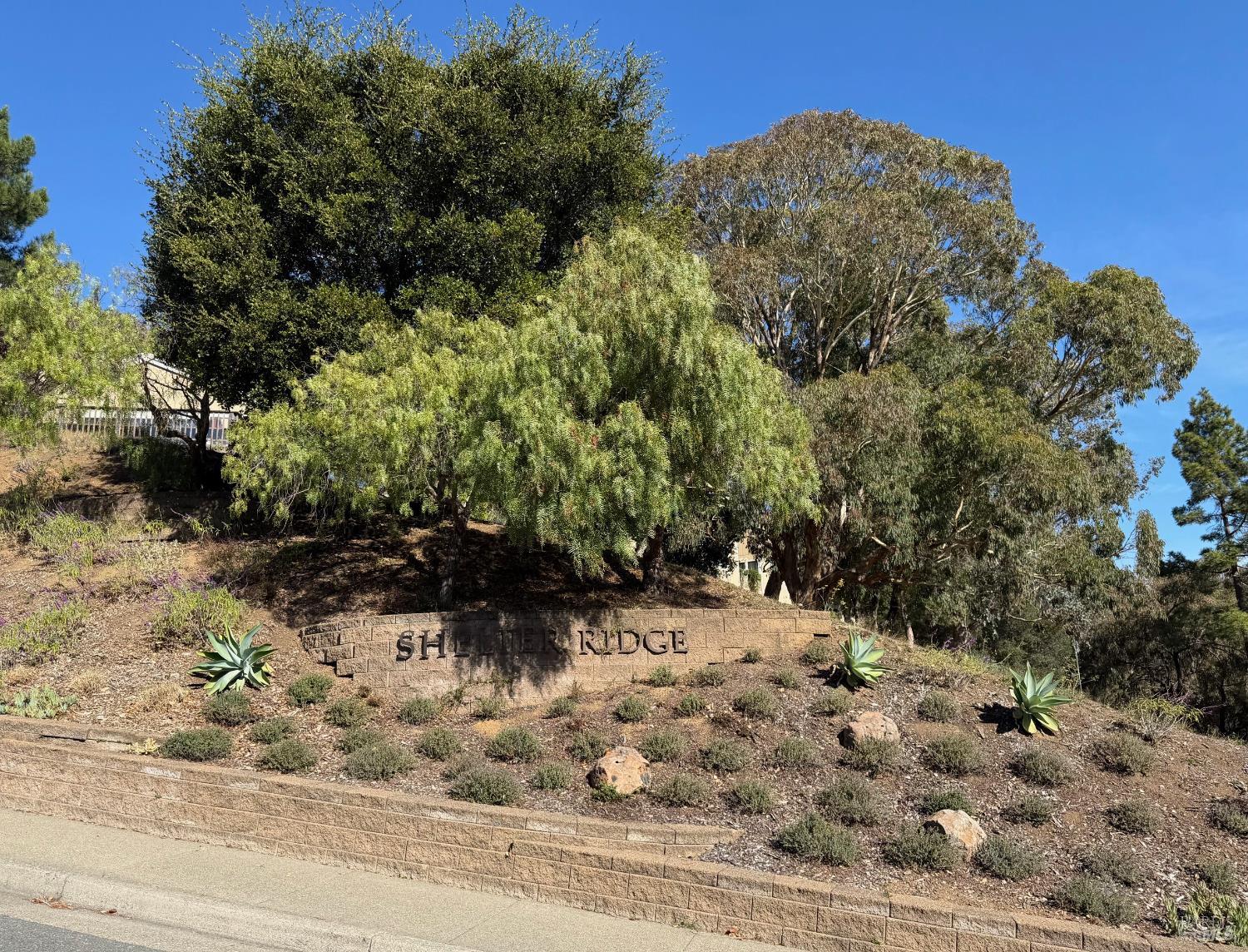 Detail Gallery Image 19 of 31 For 24 Brooke Cir, Mill Valley,  CA 94941 - 2 Beds | 2 Baths