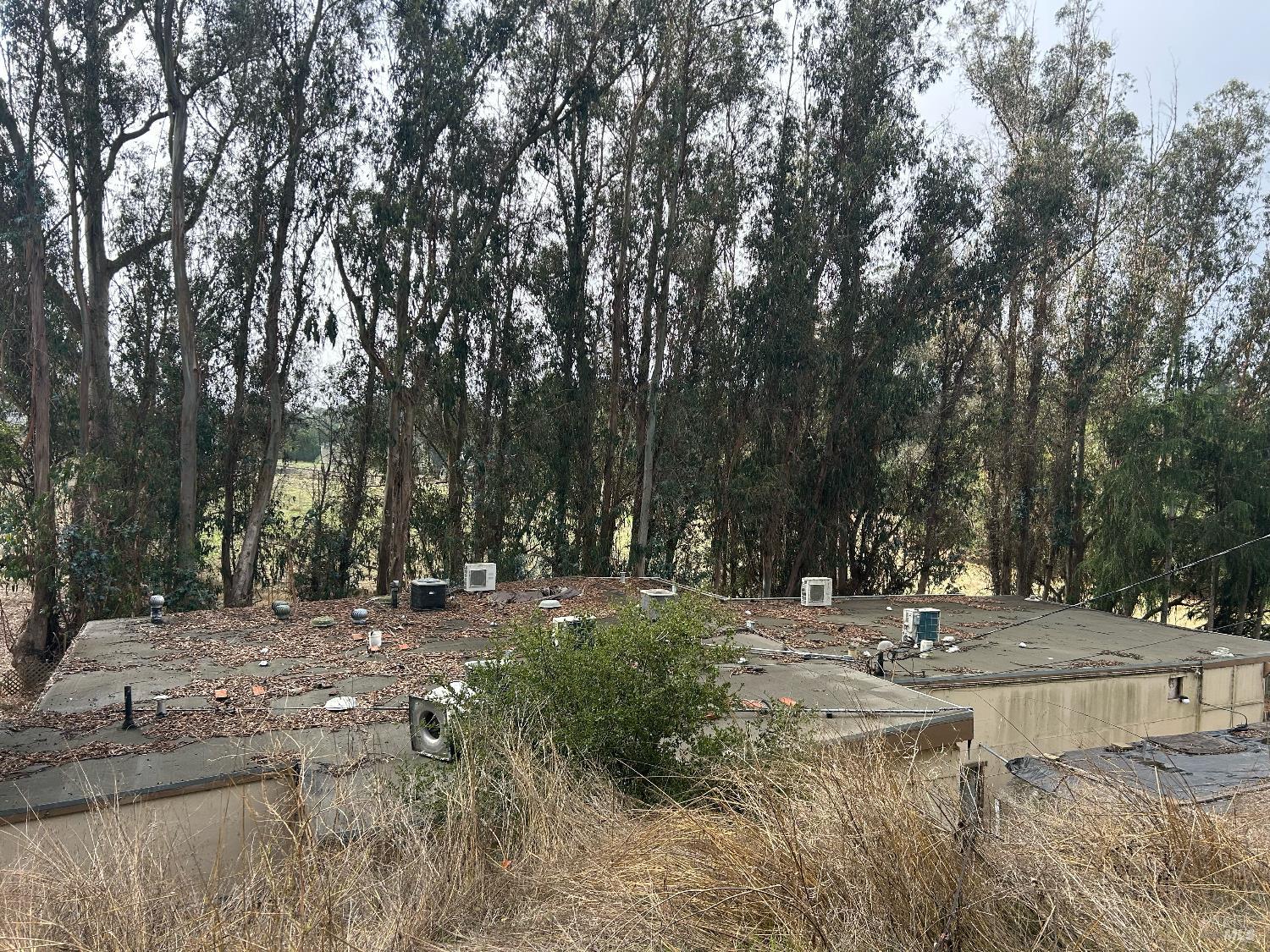 Detail Gallery Image 24 of 31 For 6675 Petersen Rd, Petaluma,  CA 94952 - – Beds | – Baths