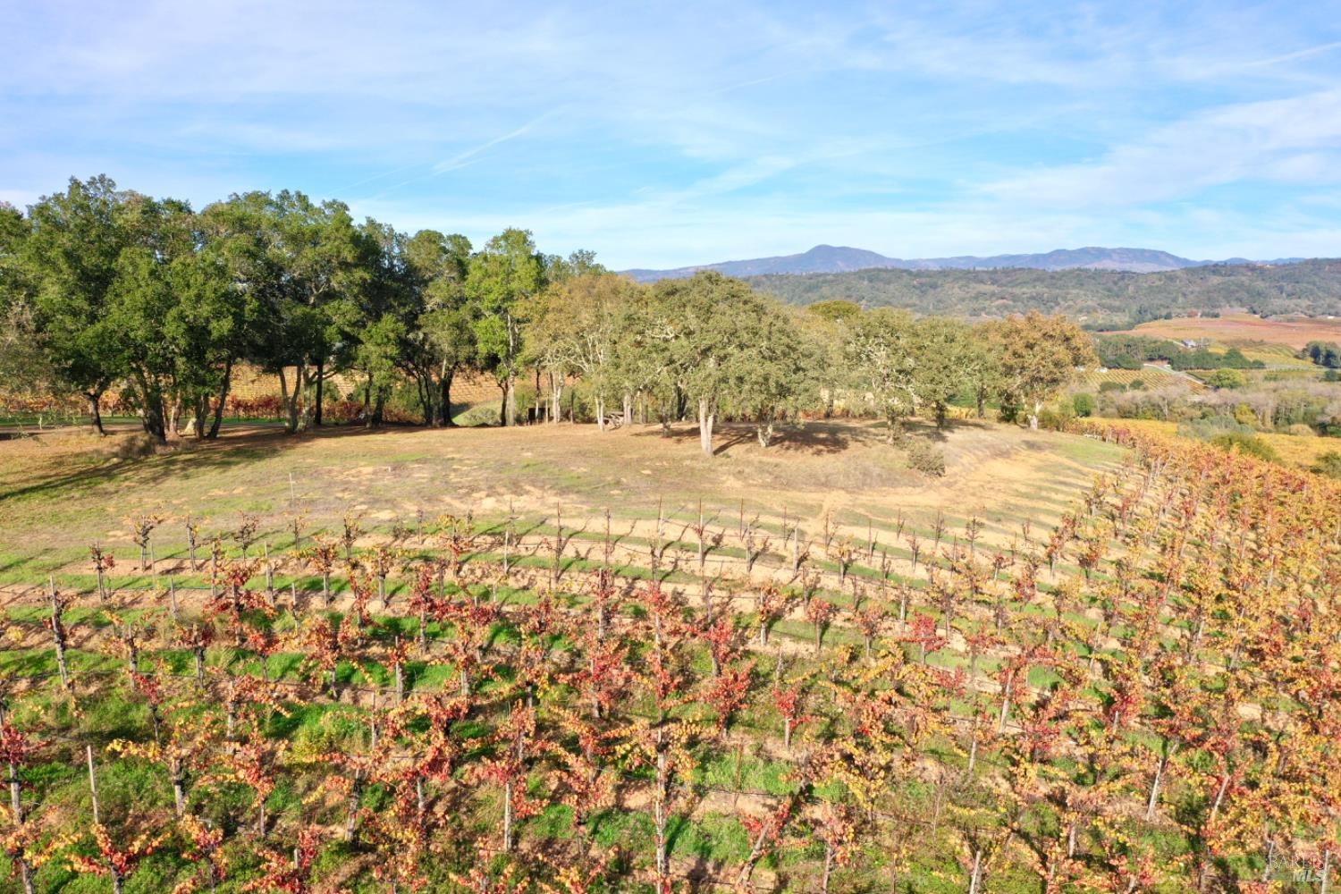 Detail Gallery Image 87 of 99 For 6225 W Dry Creek Rd, Healdsburg,  CA 95448 - – Beds | – Baths