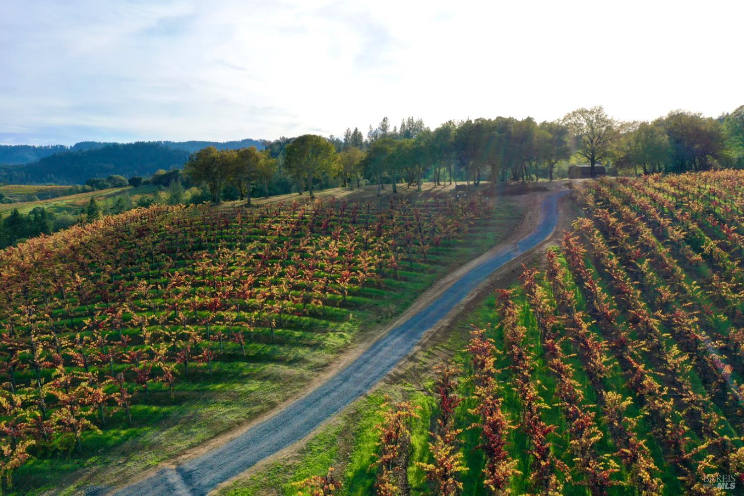 Detail Gallery Image 64 of 99 For 6225 W Dry Creek Rd, Healdsburg,  CA 95448 - – Beds | – Baths