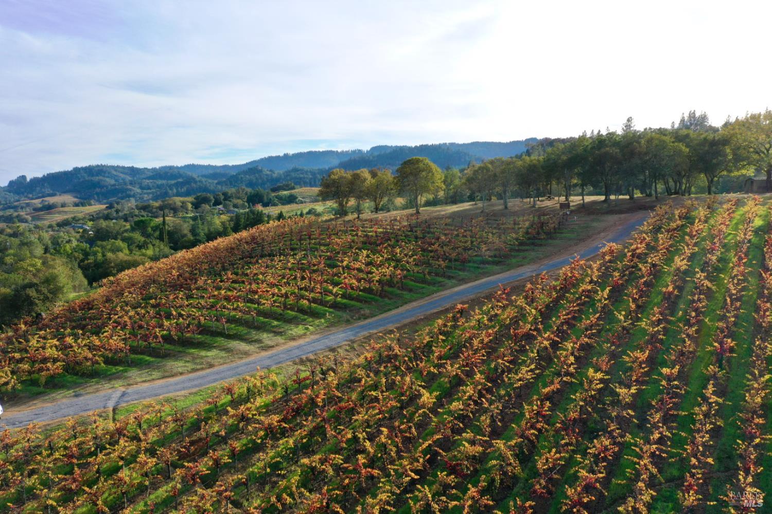 Detail Gallery Image 19 of 99 For 6225 W Dry Creek Rd, Healdsburg,  CA 95448 - – Beds | – Baths