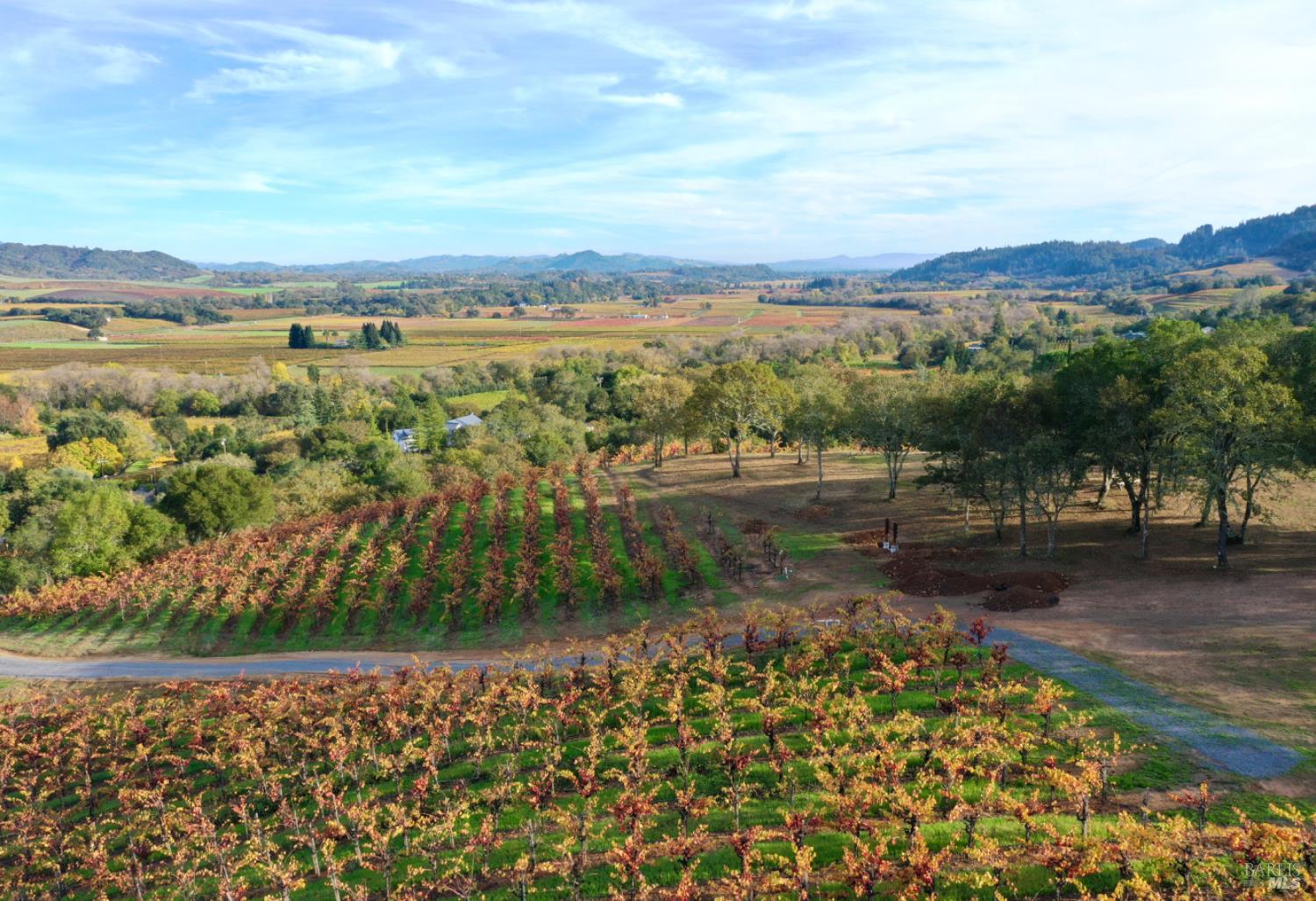 Detail Gallery Image 79 of 99 For 6225 W Dry Creek Rd, Healdsburg,  CA 95448 - – Beds | – Baths