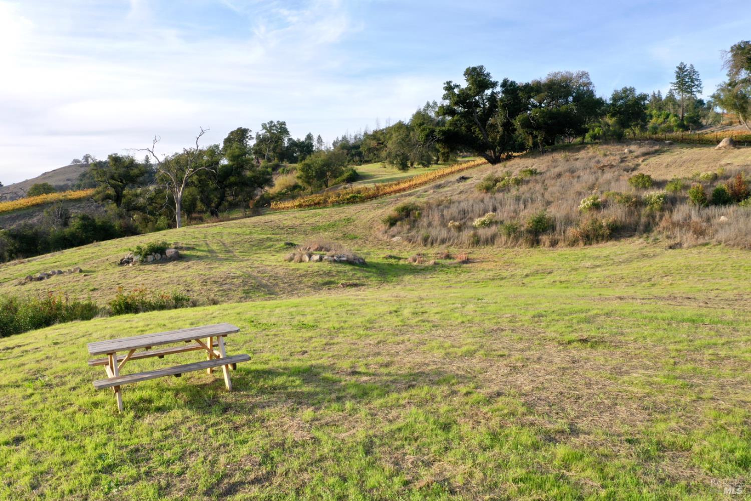 Detail Gallery Image 19 of 65 For 594 Artisan Cir, Geyserville,  CA 95441 - – Beds | – Baths