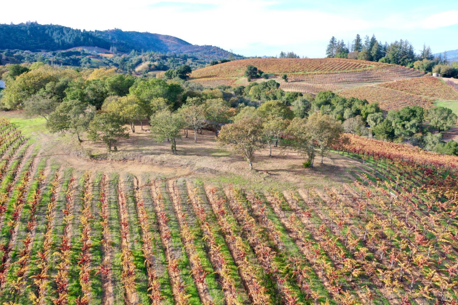 Detail Gallery Image 13 of 99 For 6225 W Dry Creek Rd, Healdsburg,  CA 95448 - – Beds | – Baths