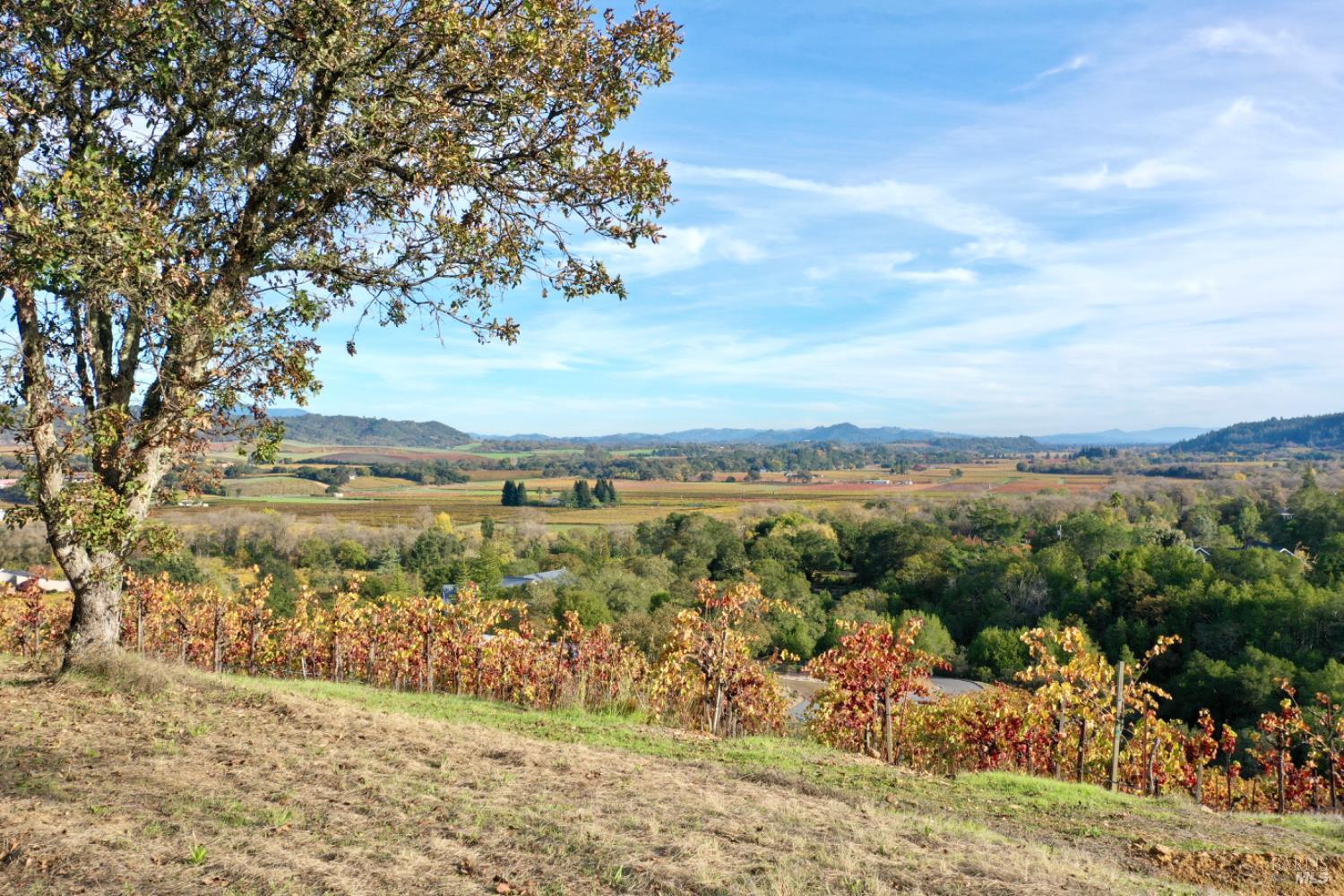 Detail Gallery Image 70 of 99 For 6225 W Dry Creek Rd, Healdsburg,  CA 95448 - – Beds | – Baths