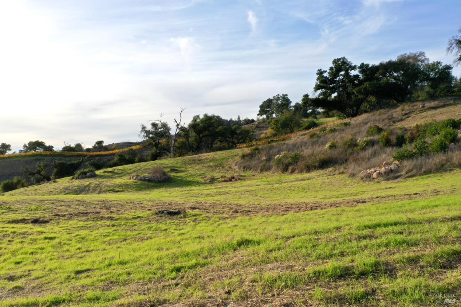 Detail Gallery Image 35 of 65 For 594 Artisan Cir, Geyserville,  CA 95441 - – Beds | – Baths