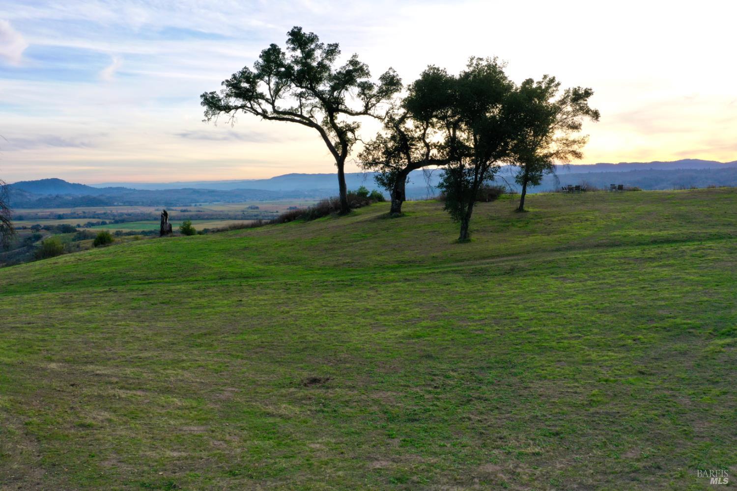 Detail Gallery Image 66 of 76 For 500 Artisan Cir, Geyserville,  CA 95441 - – Beds | – Baths