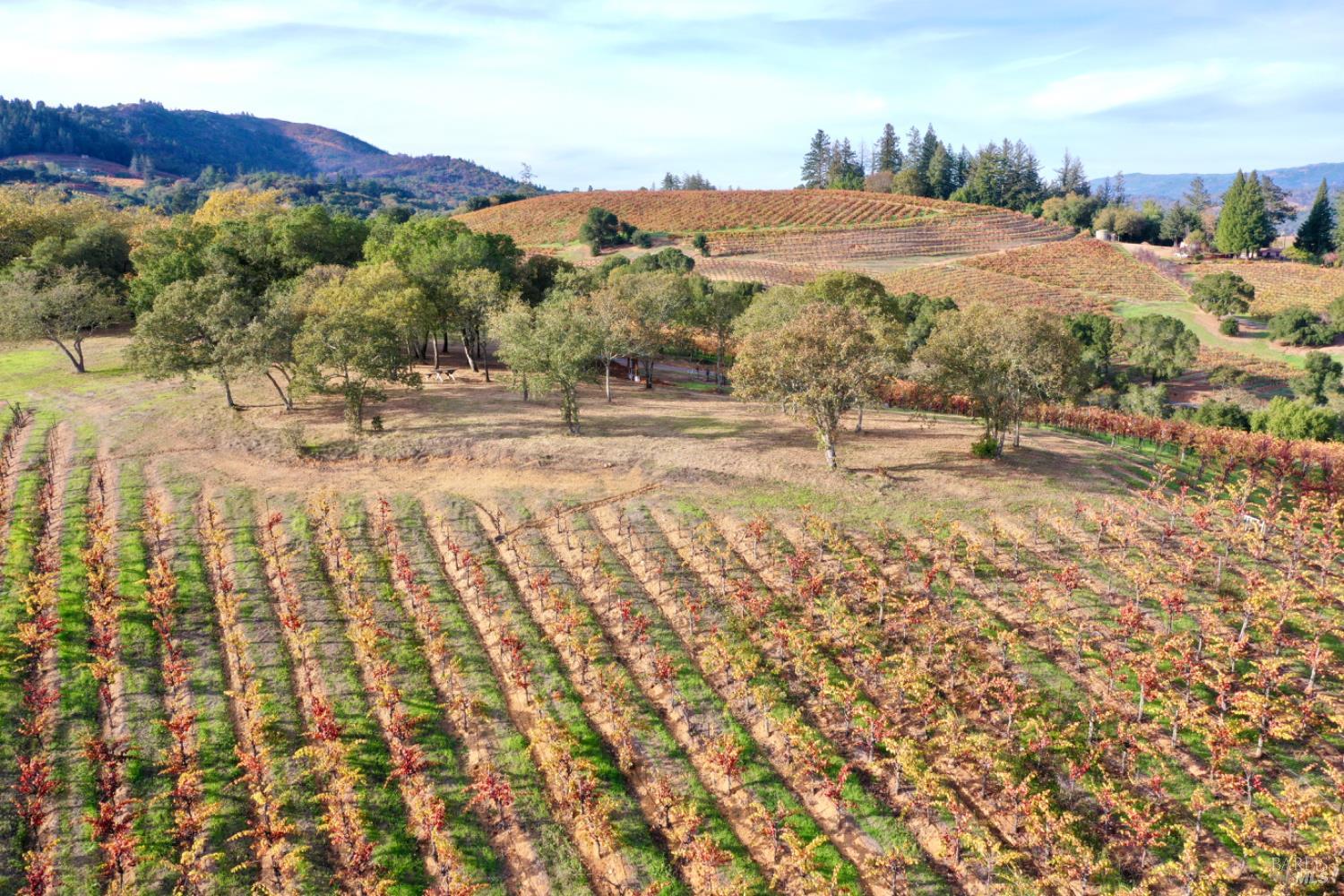 Detail Gallery Image 8 of 99 For 6225 W Dry Creek Rd, Healdsburg,  CA 95448 - – Beds | – Baths