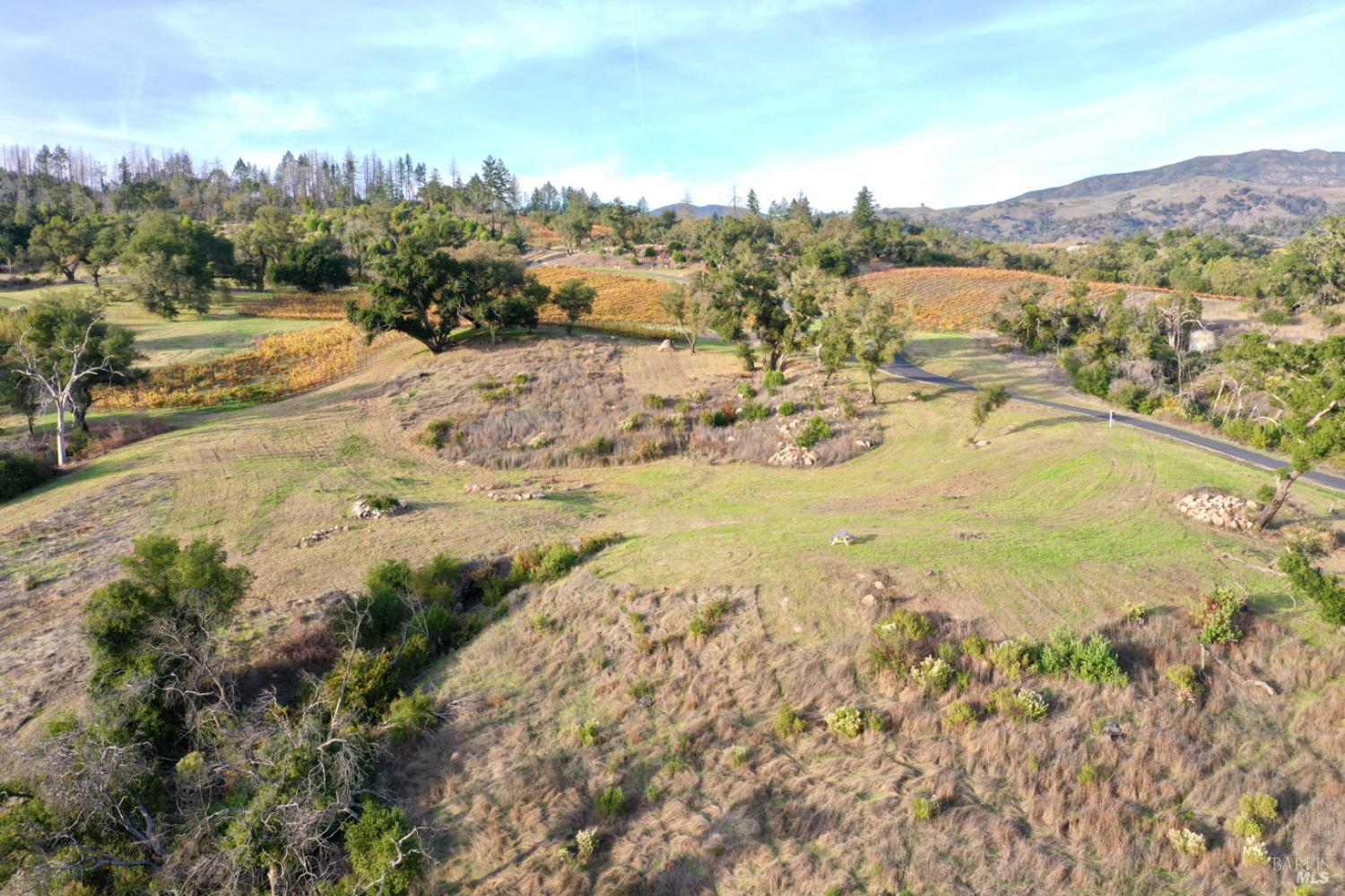 Detail Gallery Image 21 of 65 For 594 Artisan Cir, Geyserville,  CA 95441 - – Beds | – Baths