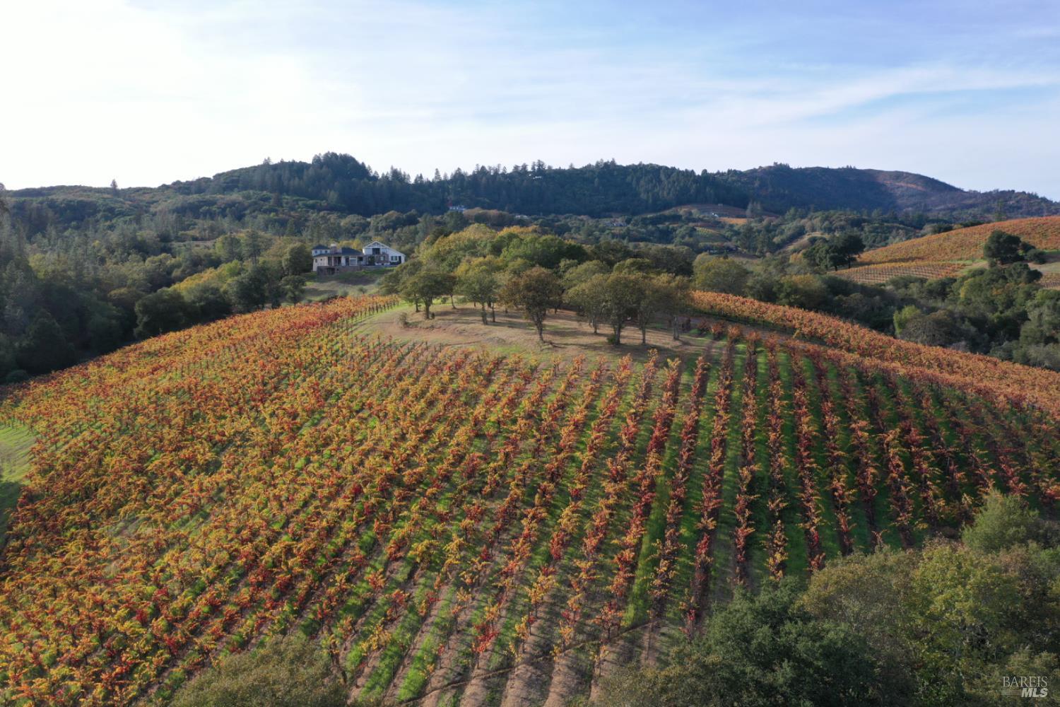 Detail Gallery Image 60 of 99 For 6225 W Dry Creek Rd, Healdsburg,  CA 95448 - – Beds | – Baths