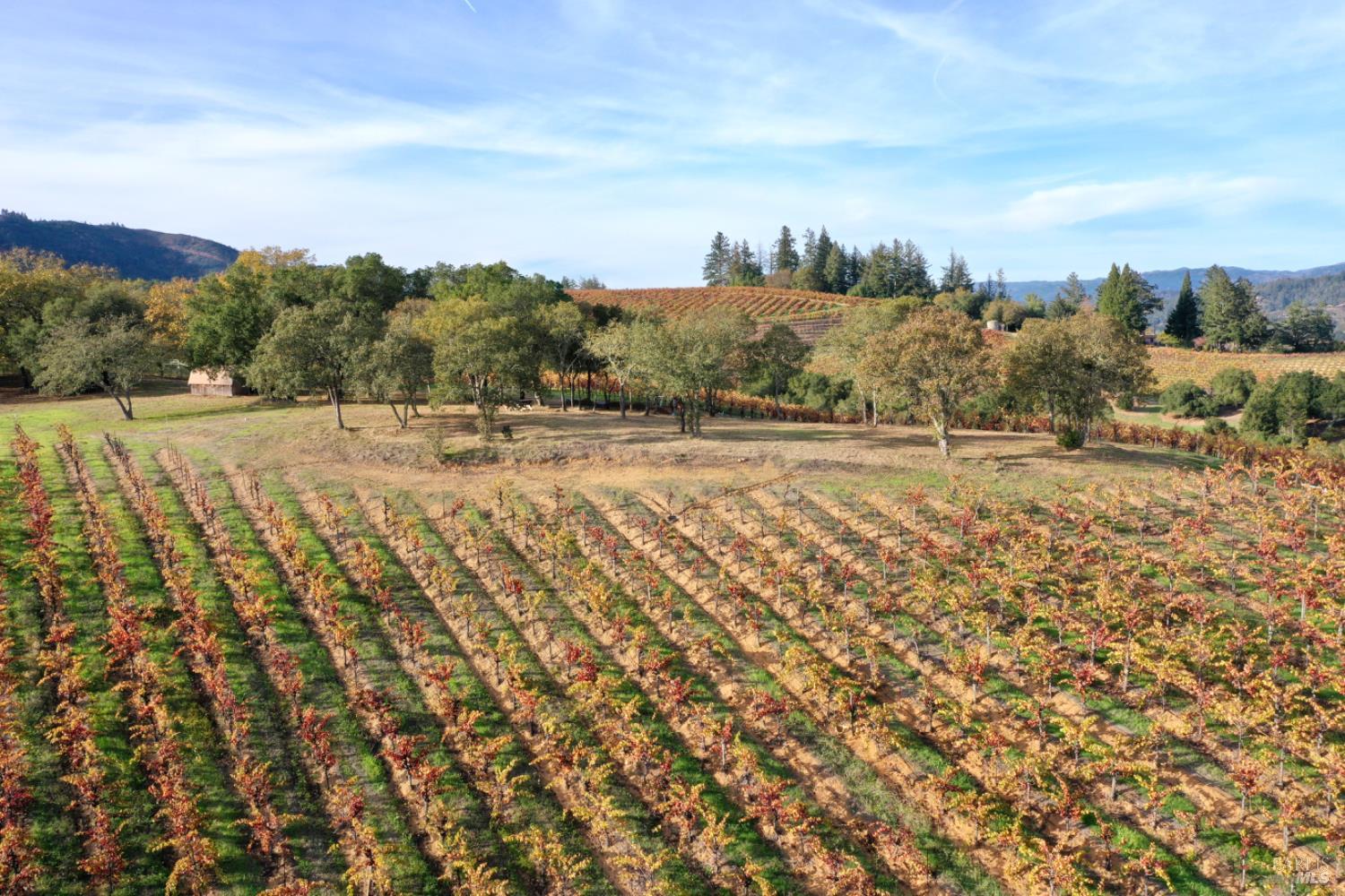 Detail Gallery Image 6 of 99 For 6225 W Dry Creek Rd, Healdsburg,  CA 95448 - – Beds | – Baths