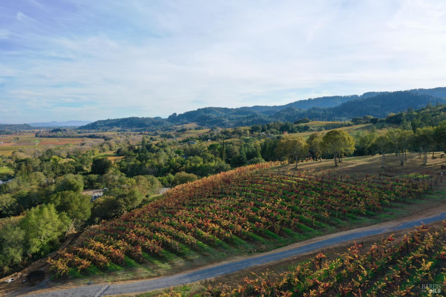 Detail Gallery Image 92 of 99 For 6225 W Dry Creek Rd, Healdsburg,  CA 95448 - – Beds | – Baths