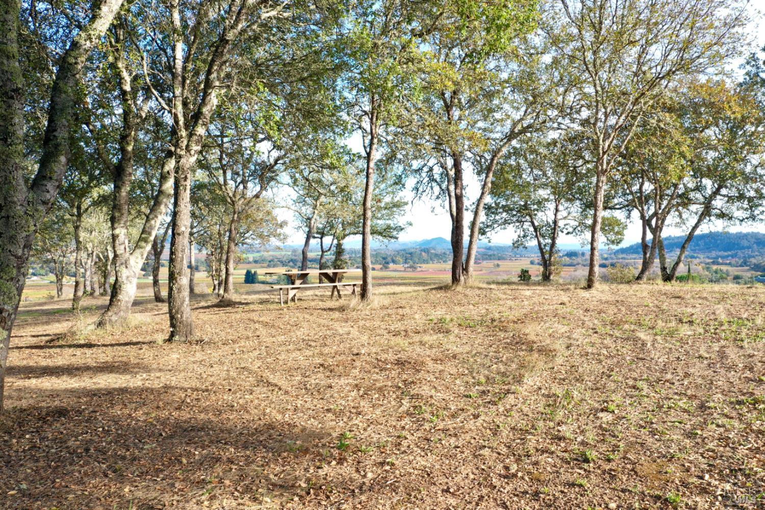 Detail Gallery Image 94 of 99 For 6225 W Dry Creek Rd, Healdsburg,  CA 95448 - – Beds | – Baths