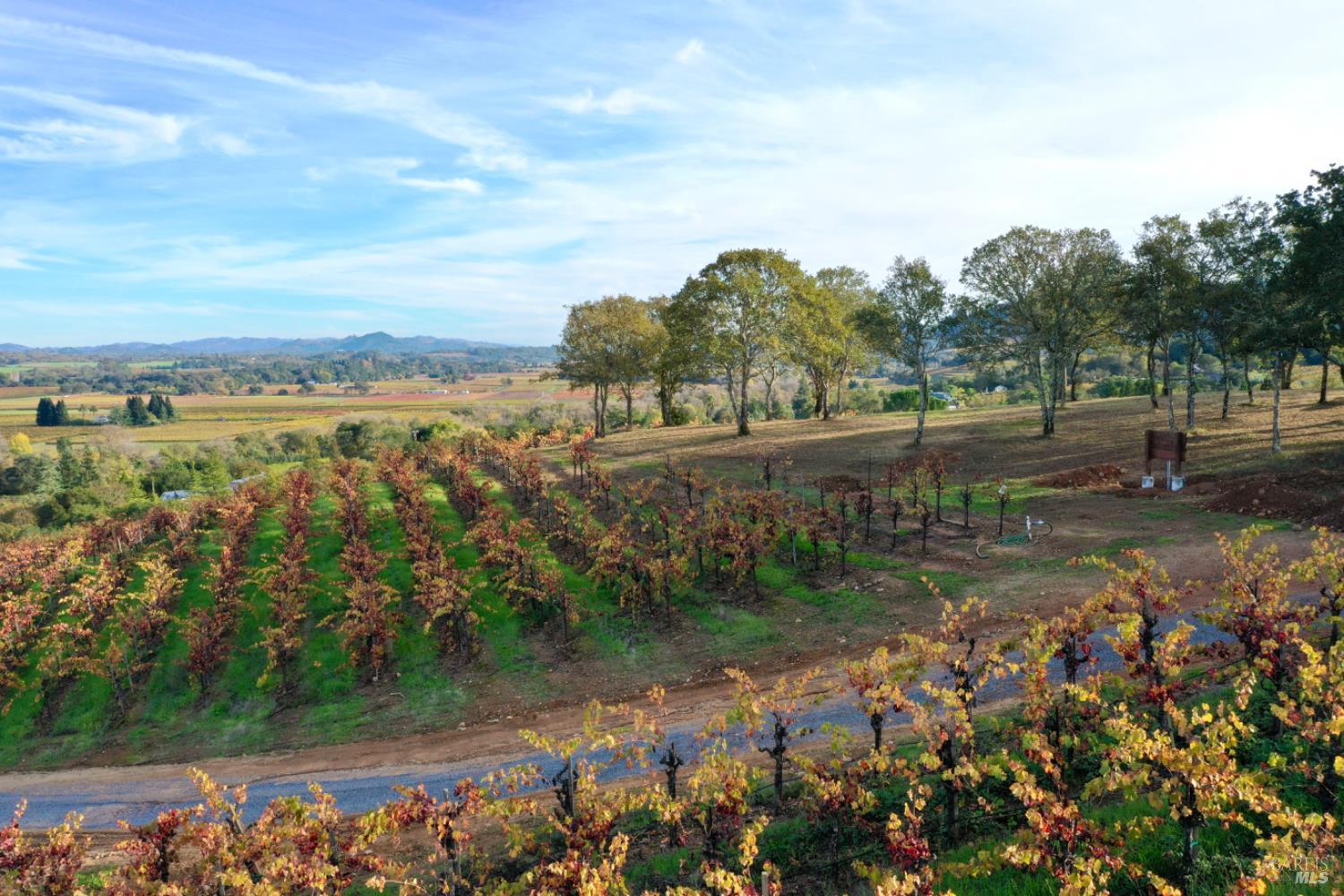 Detail Gallery Image 76 of 99 For 6225 W Dry Creek Rd, Healdsburg,  CA 95448 - – Beds | – Baths